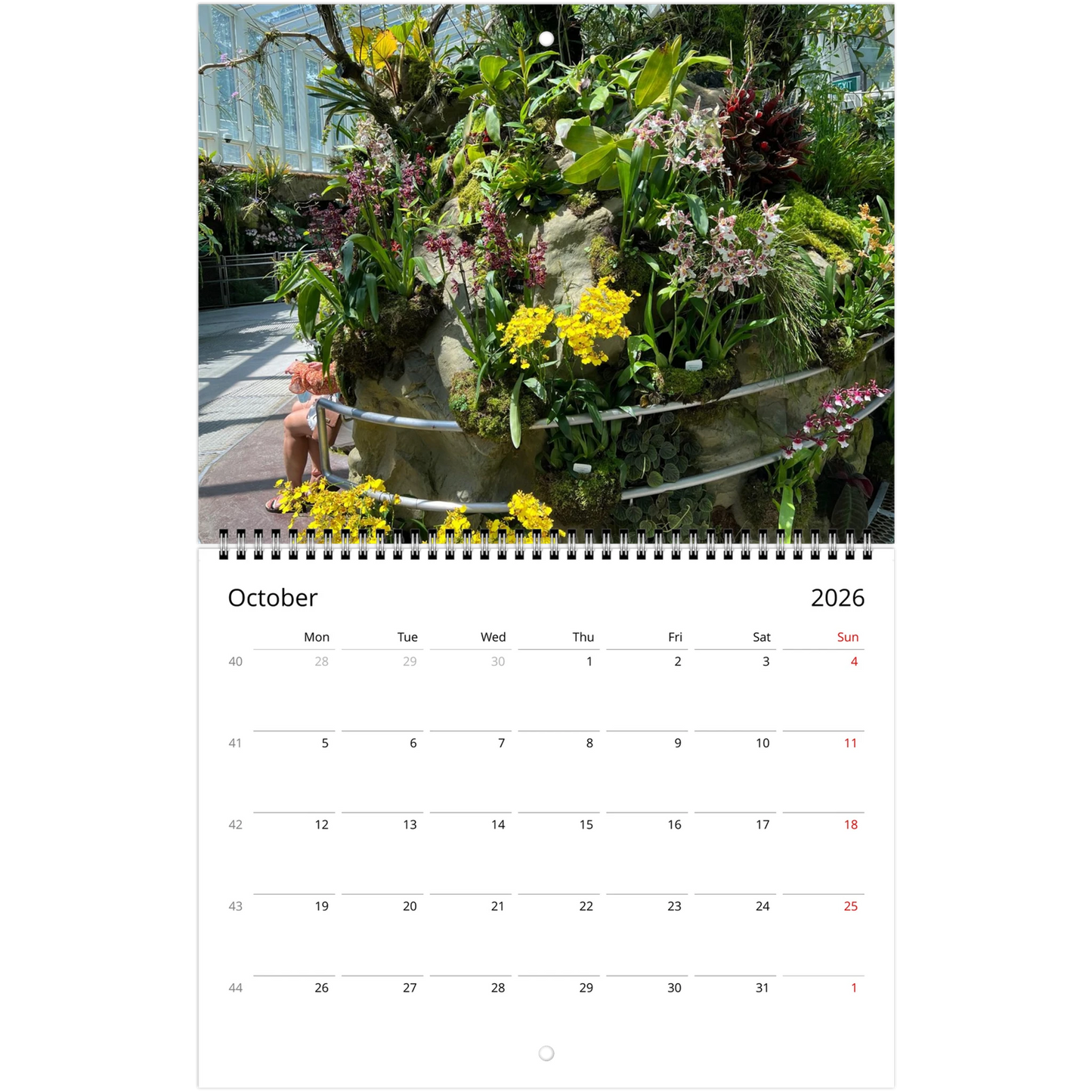 Singapore Nation Orchid Garden 2026 Calendar  (US & CA)