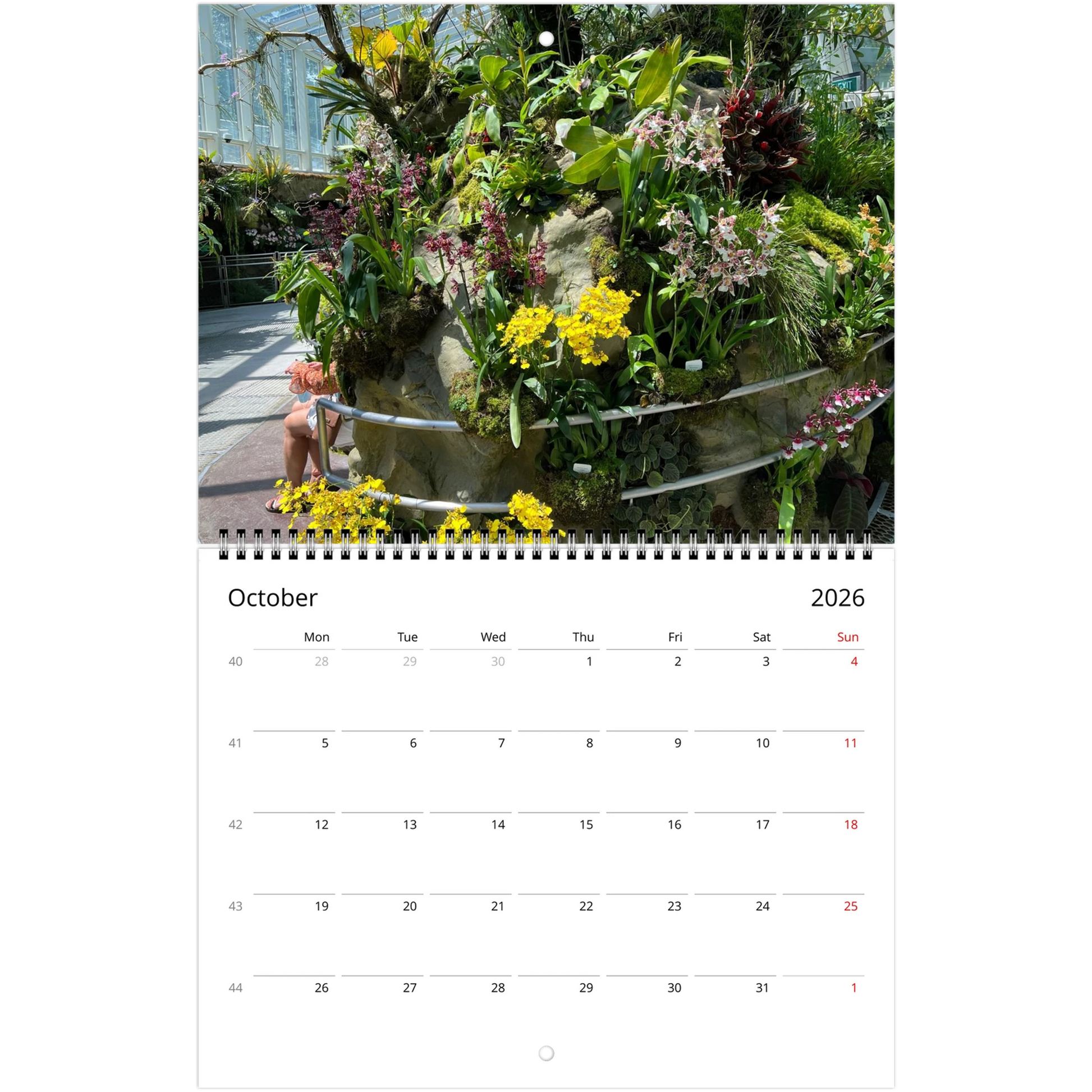 Singapore Nation Orchid Garden 2026 Calendar  (US & CA)