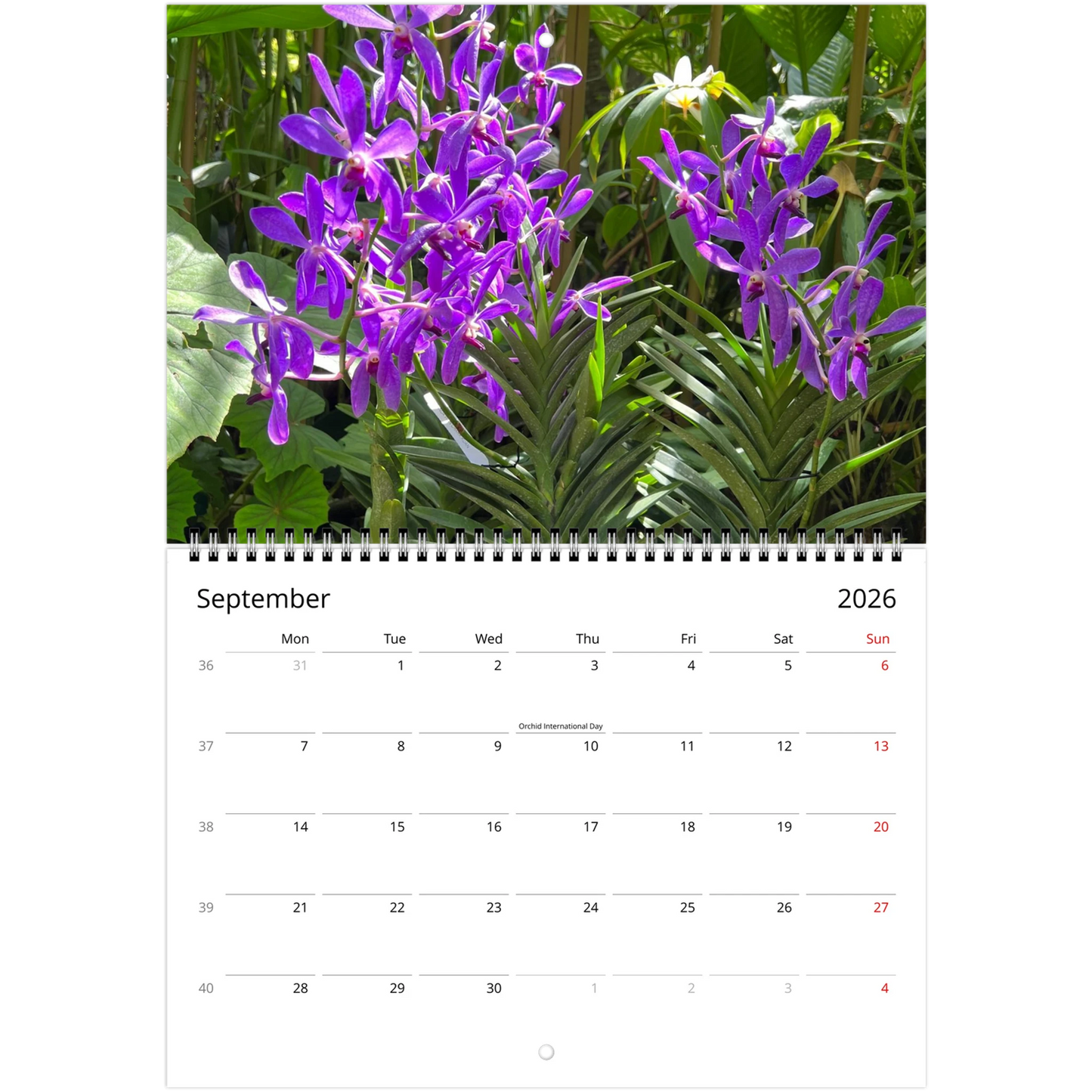 Singapore National Orchid Garden 2026 Calendar