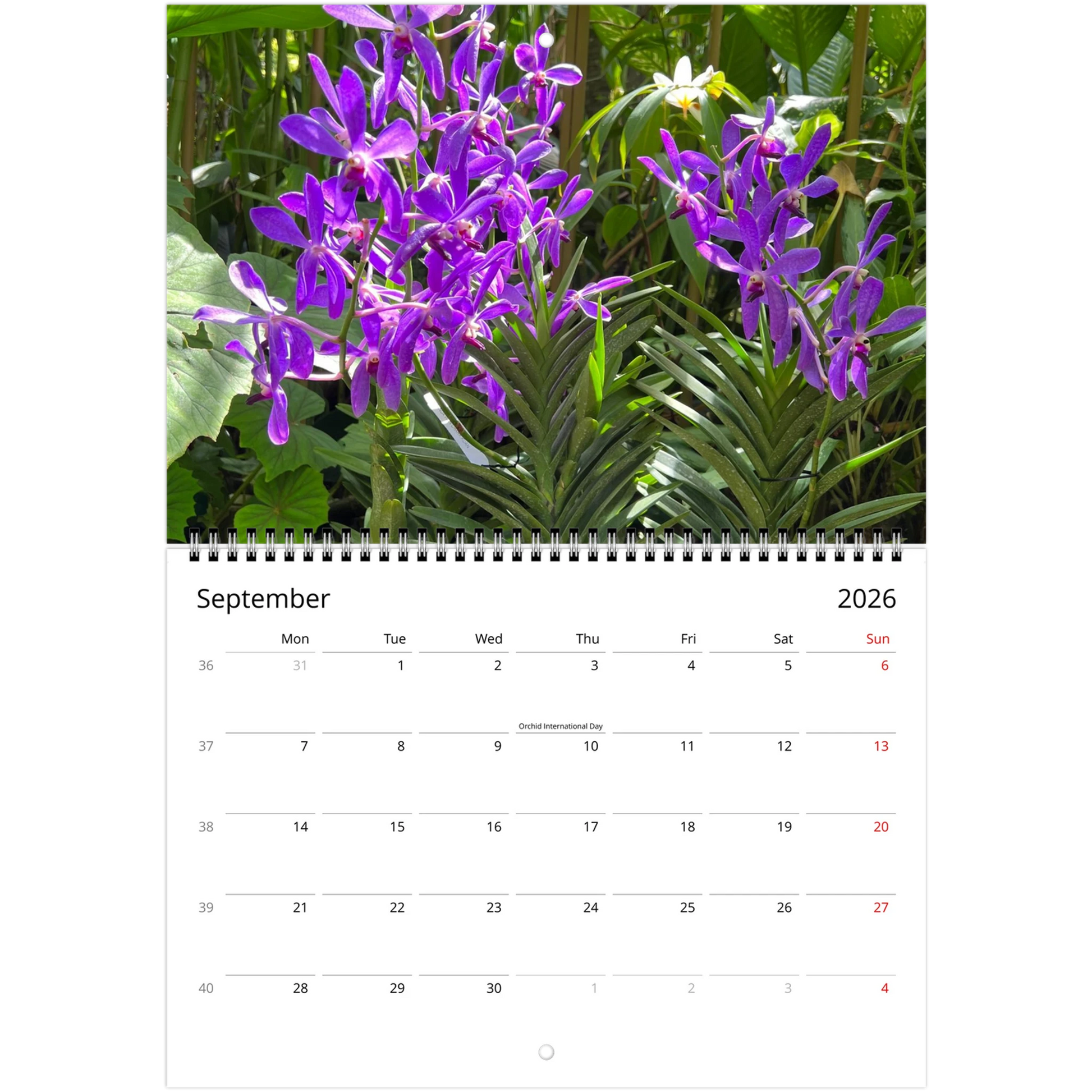 Singapore National Orchid Garden 2026 Calendar