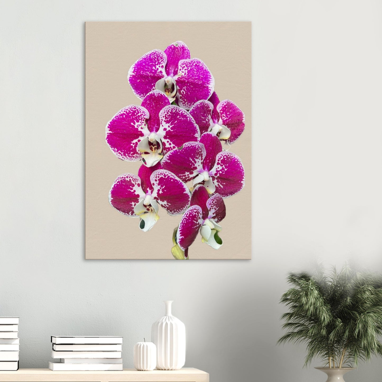 Pink & White Phalaenopsis Sand Orchid Canvas Print
