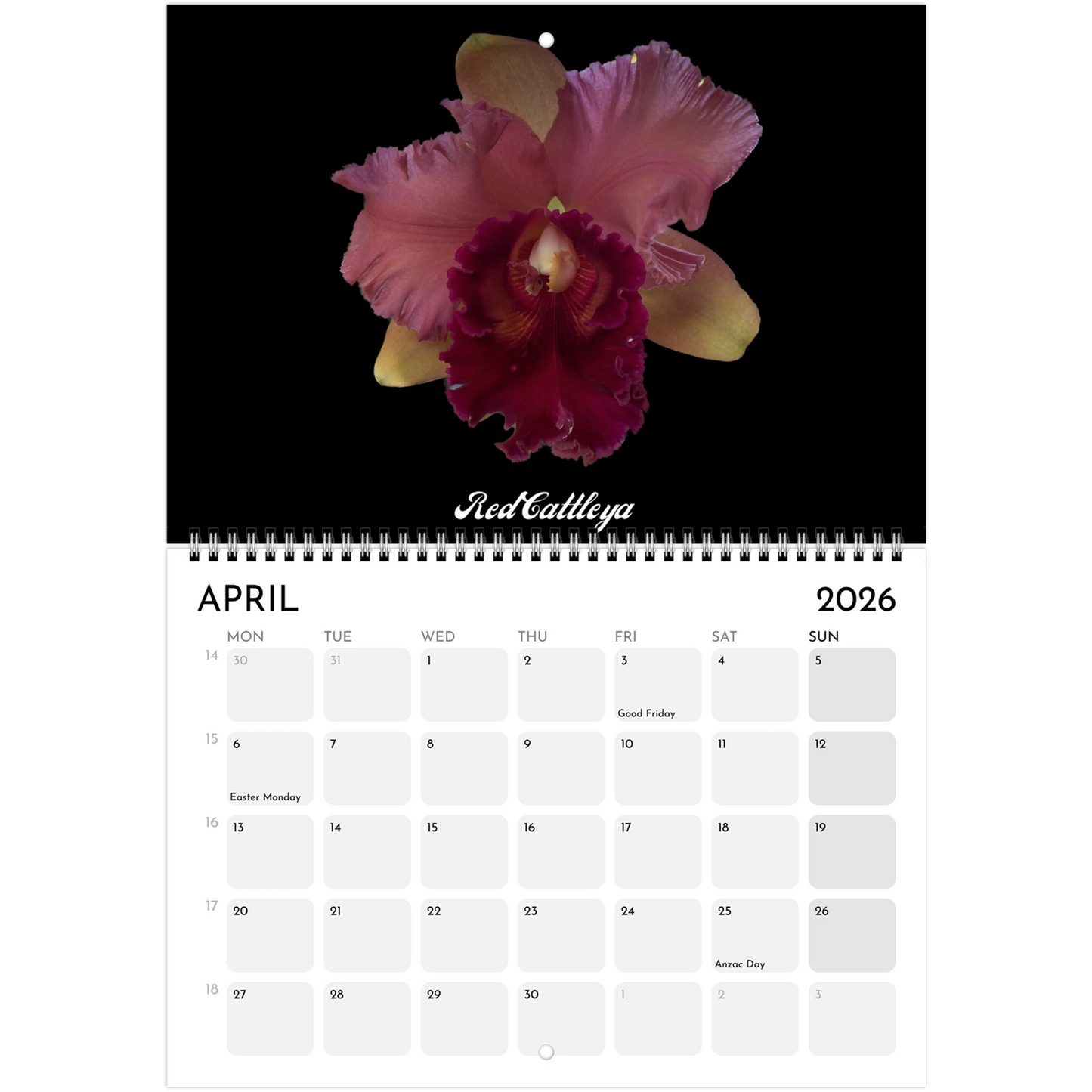 "Catts" In Black 2026 Calendar