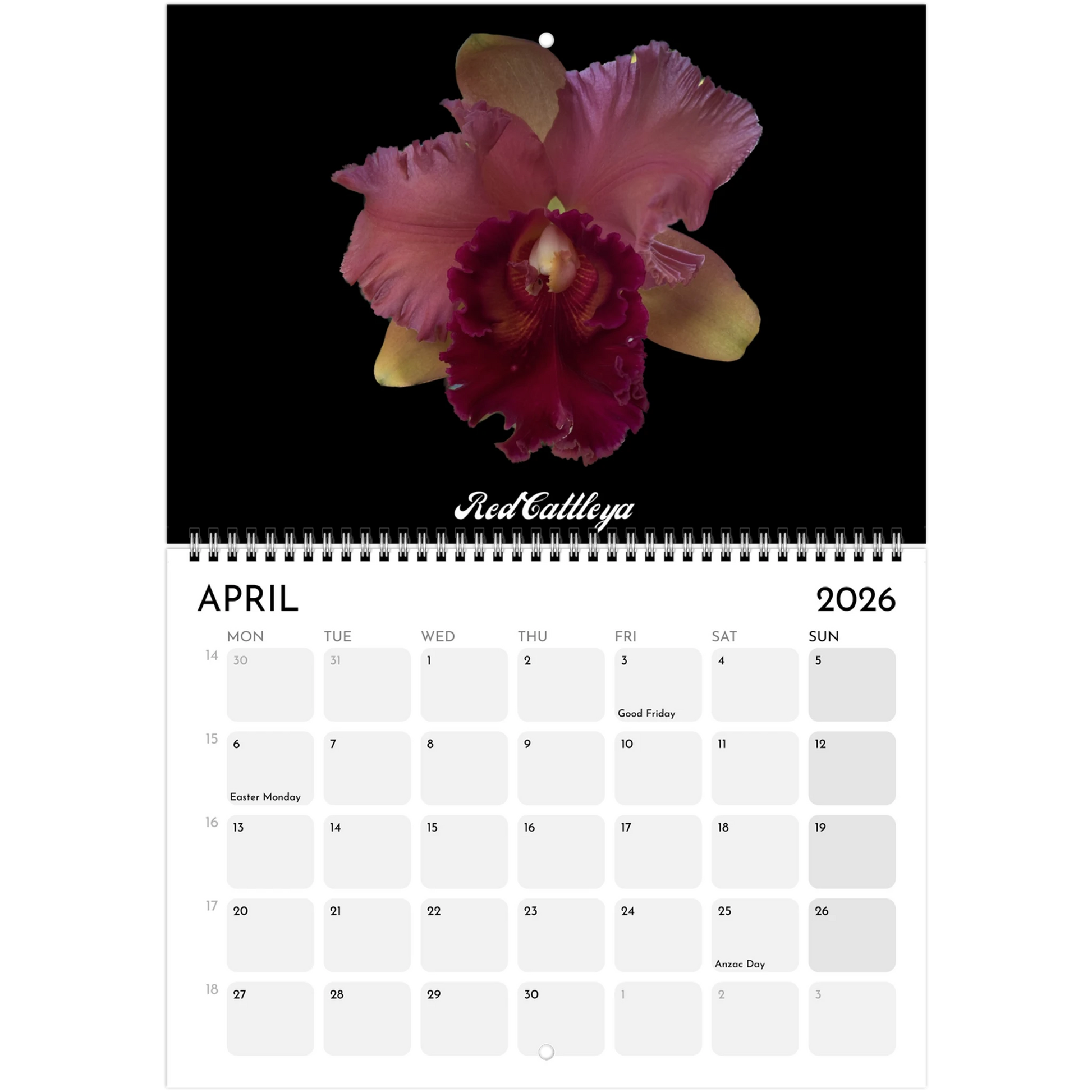 "Catts" In Black 2026 Calendar