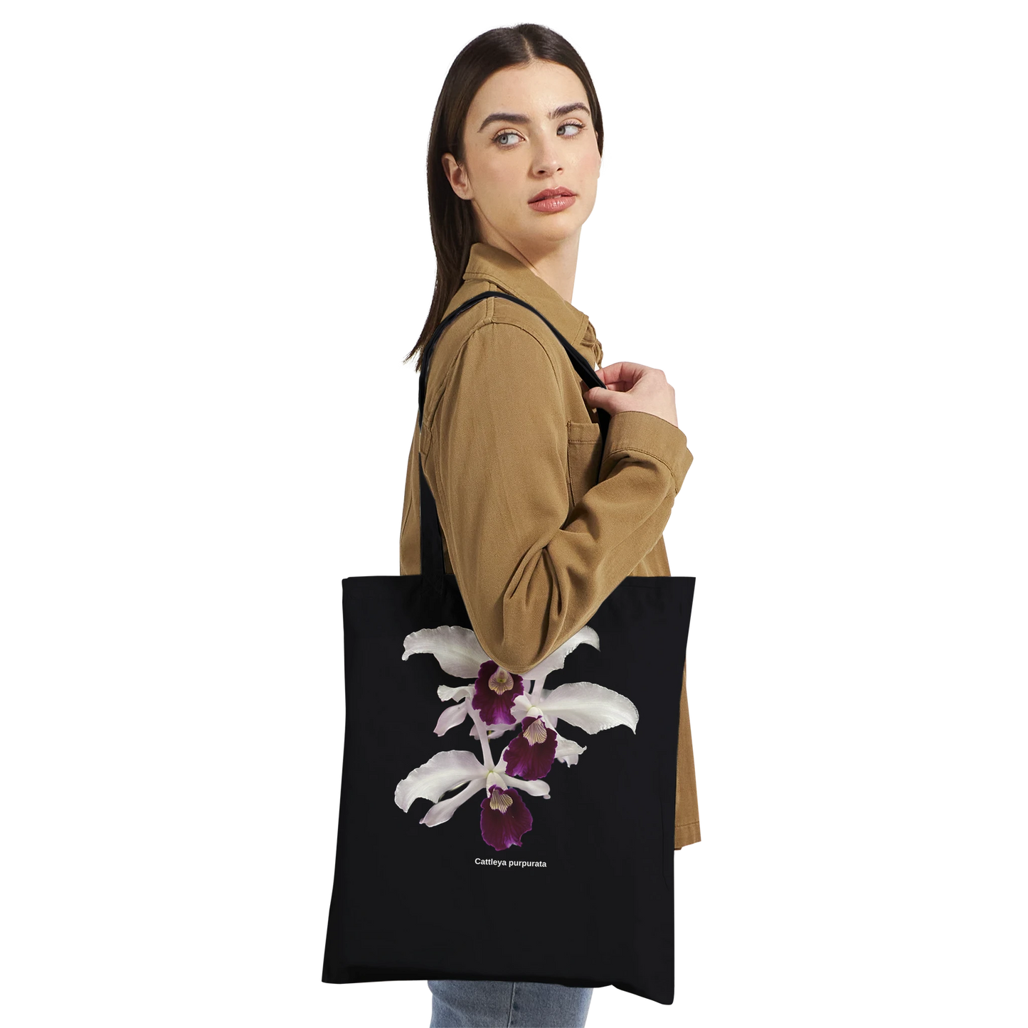 51782260-a071-44b1-9178-585a383ea025