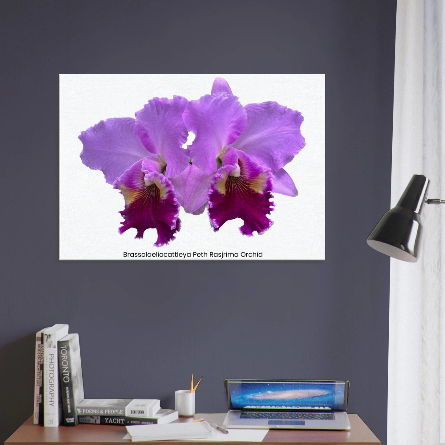 Brassolaeliocattleya Peth Rasjrima Orchid Canvas Print