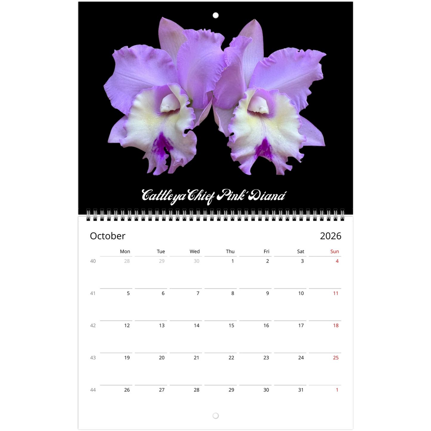 Loving Orchids 2026 Calendar (US & CA)