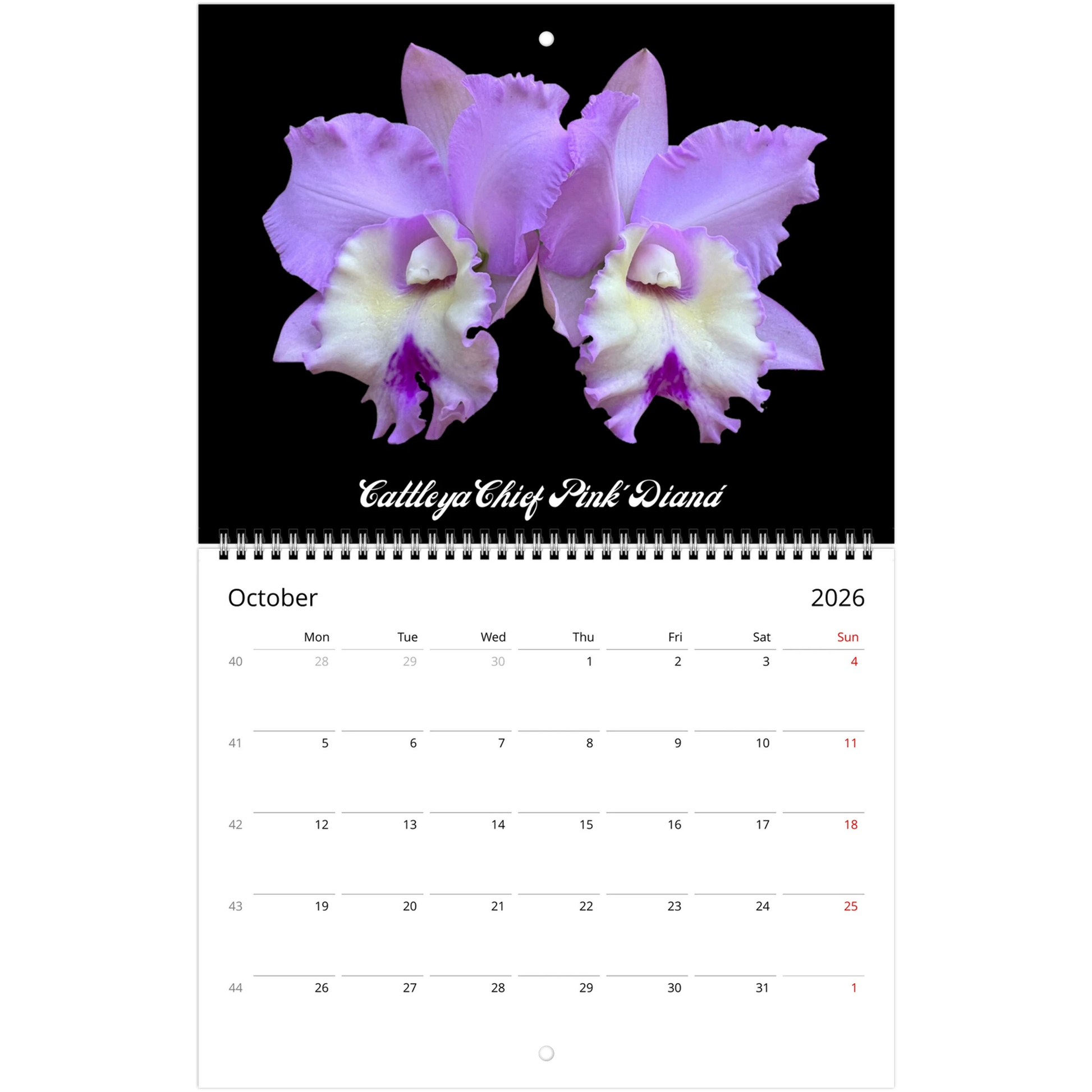 Loving Orchids 2026 Calendar (US & CA)