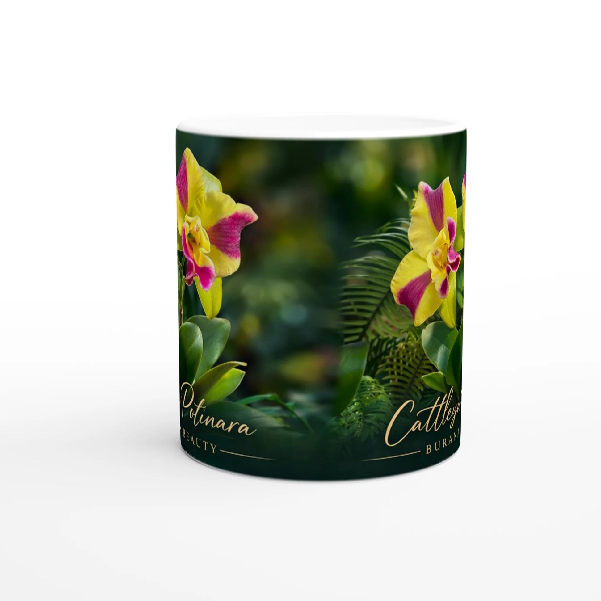 Cattleya Potinara Burana Beauty Orchid Coffee Mug
