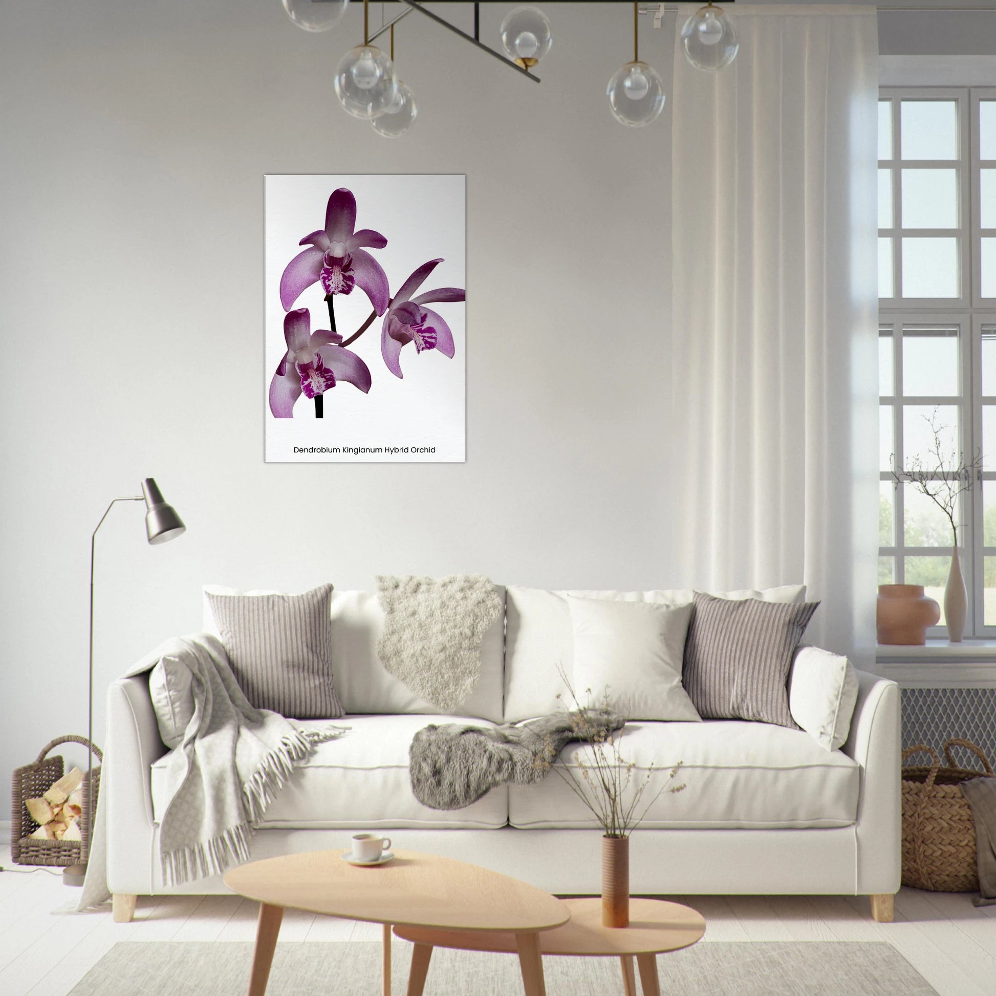 Dendrobium Kingianum Hybrid Orchid Canvas Print