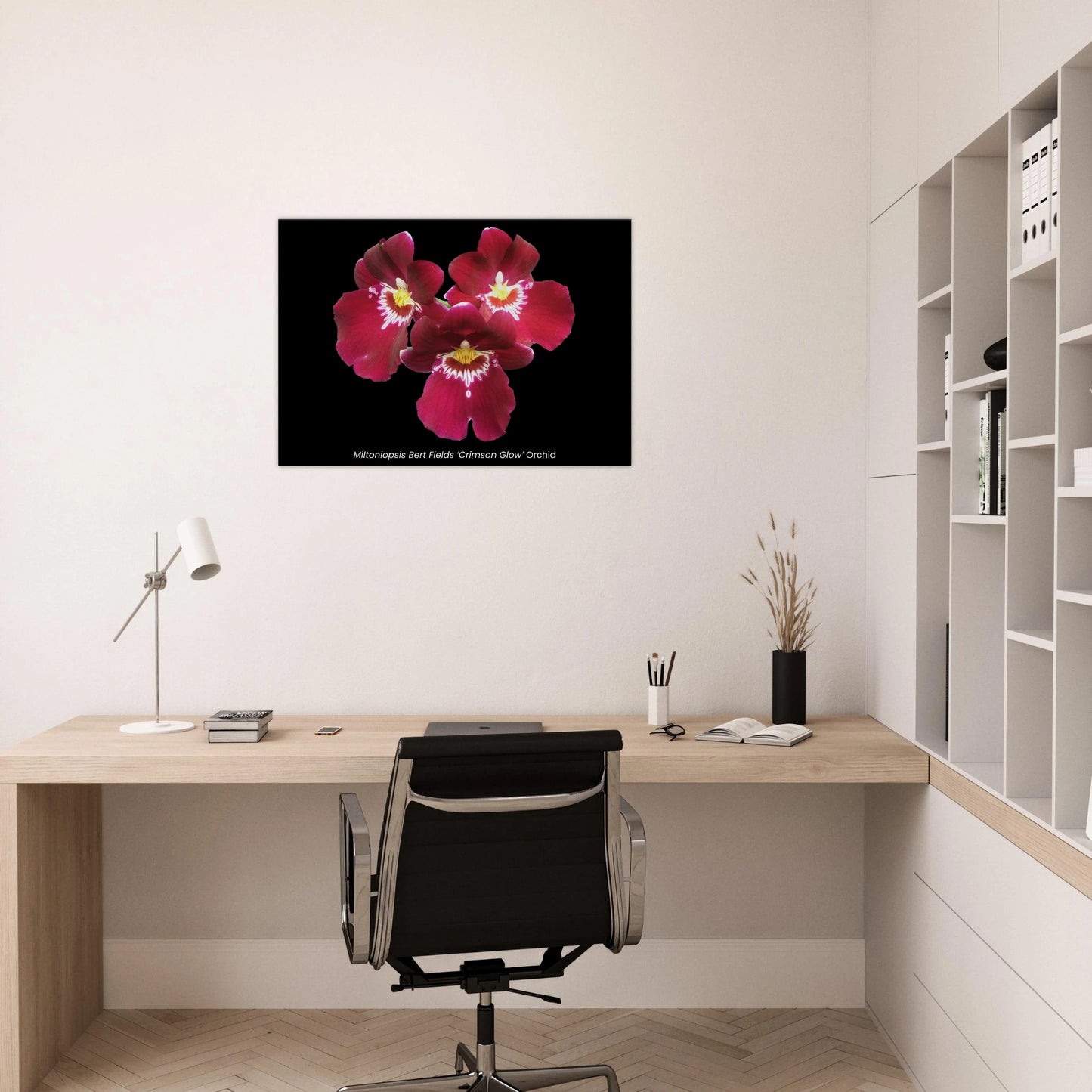 Miltoniopsis Bert Fields 'Crimson Glow' Orchid Canvas Print