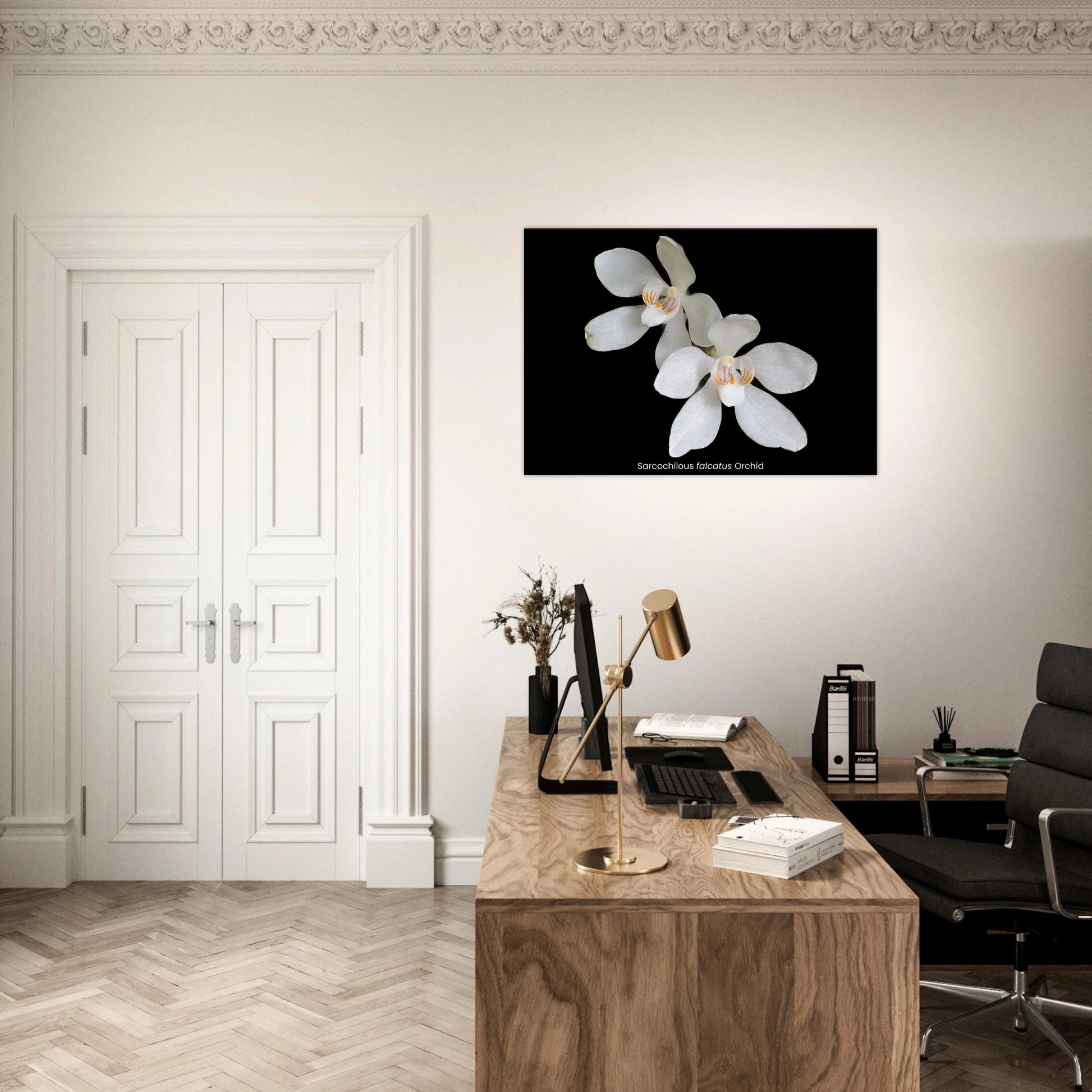 Sarcochilous falcatus Orchid Canvas Print