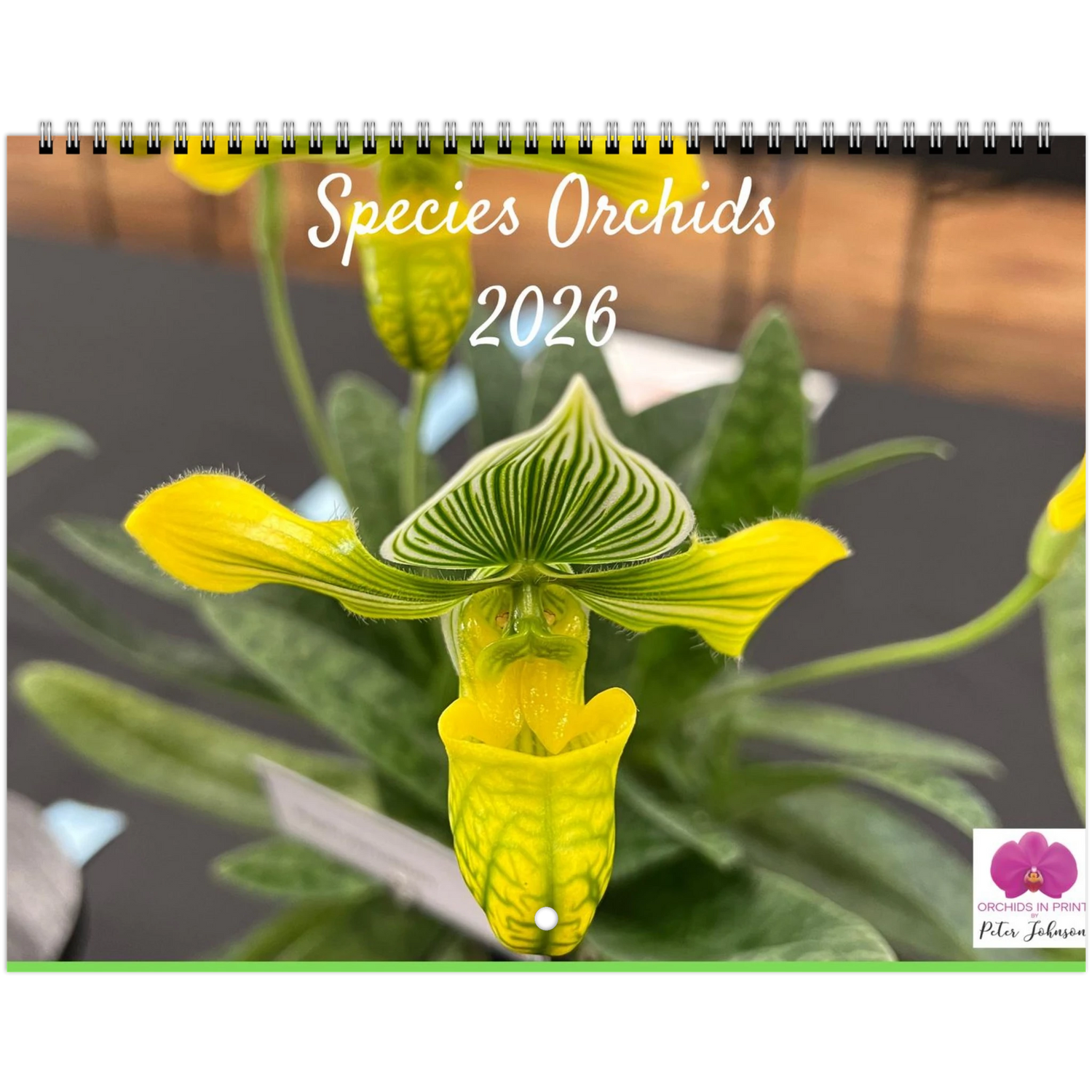 706607bb-2b64-427a-abbd-19c828a69dbd