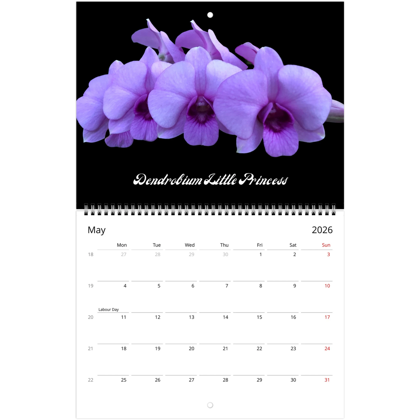 Loving Orchids 2026 Calendar (US & CA)