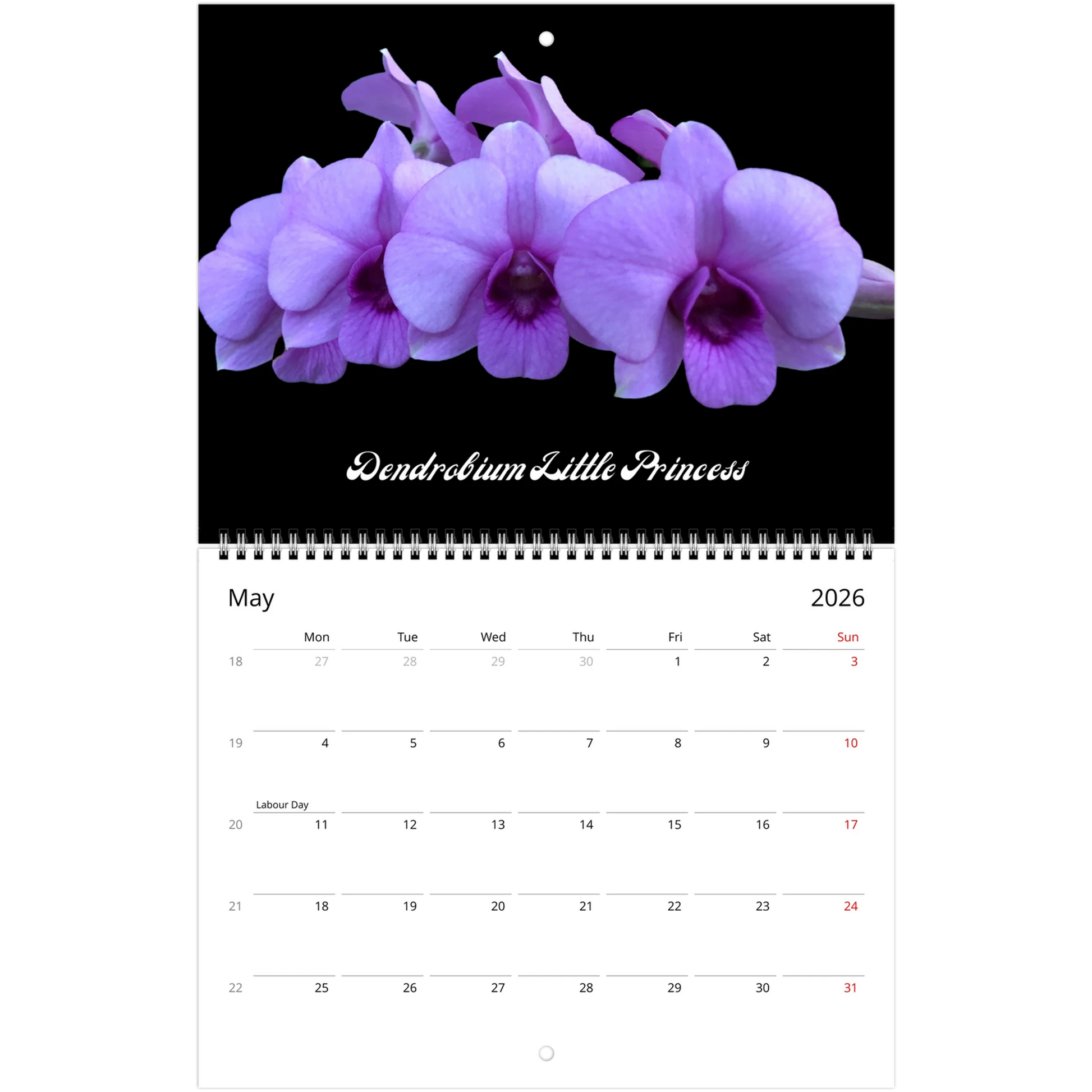 Loving Orchids 2026 Calendar (US & CA)