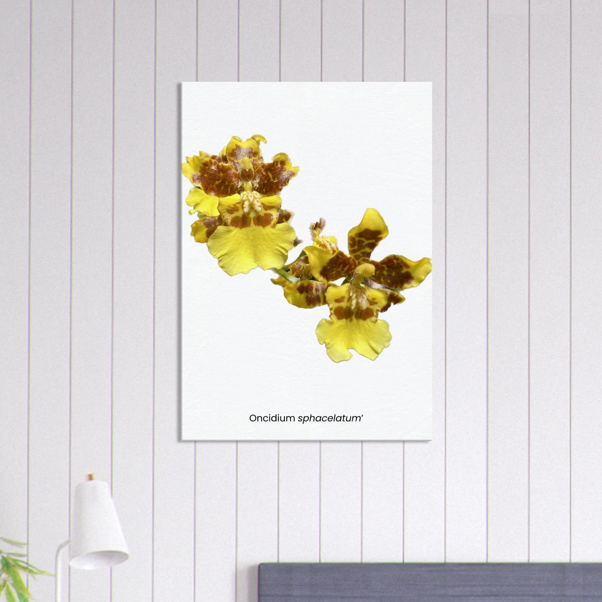 74fb6b01-1a64-468e-ab16-ebce3de74732