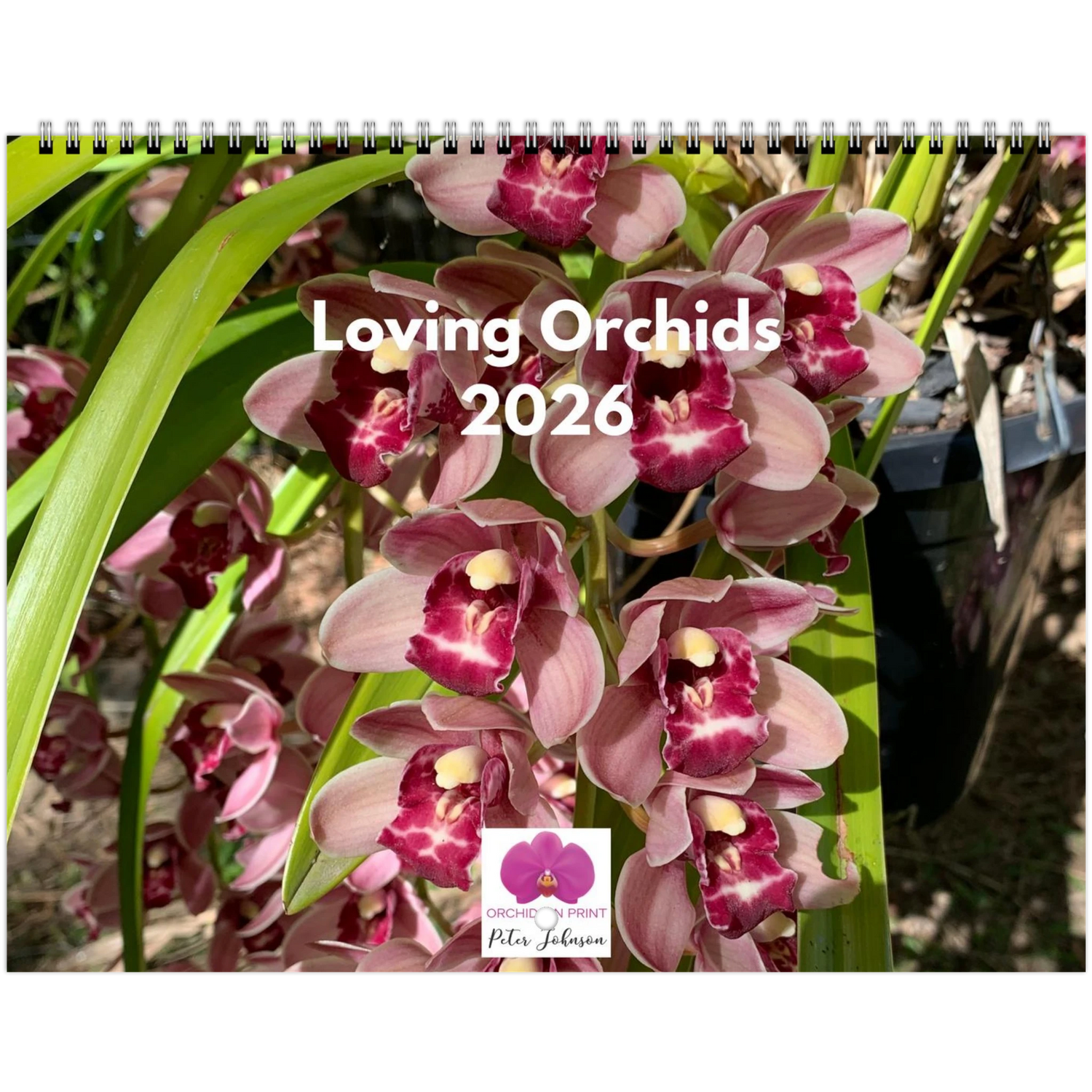 75c8ed21-4d81-4bcc-9a59-c6ba2c74cd96