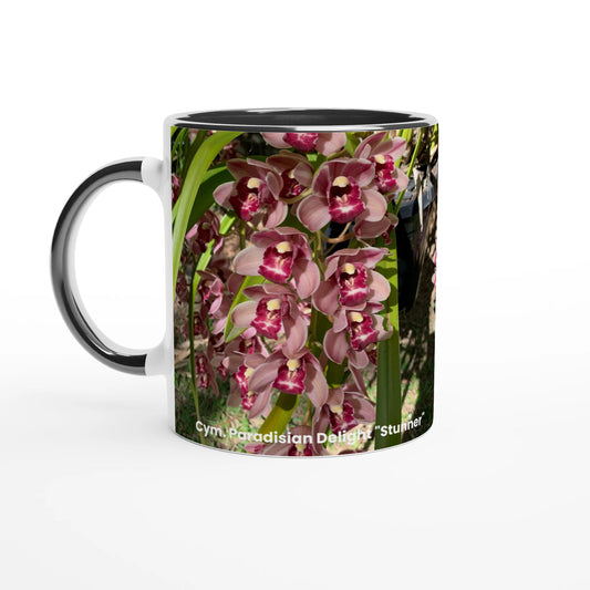 Cym. Paradisian Delight 'Stunner' Orchid Coffee Mug