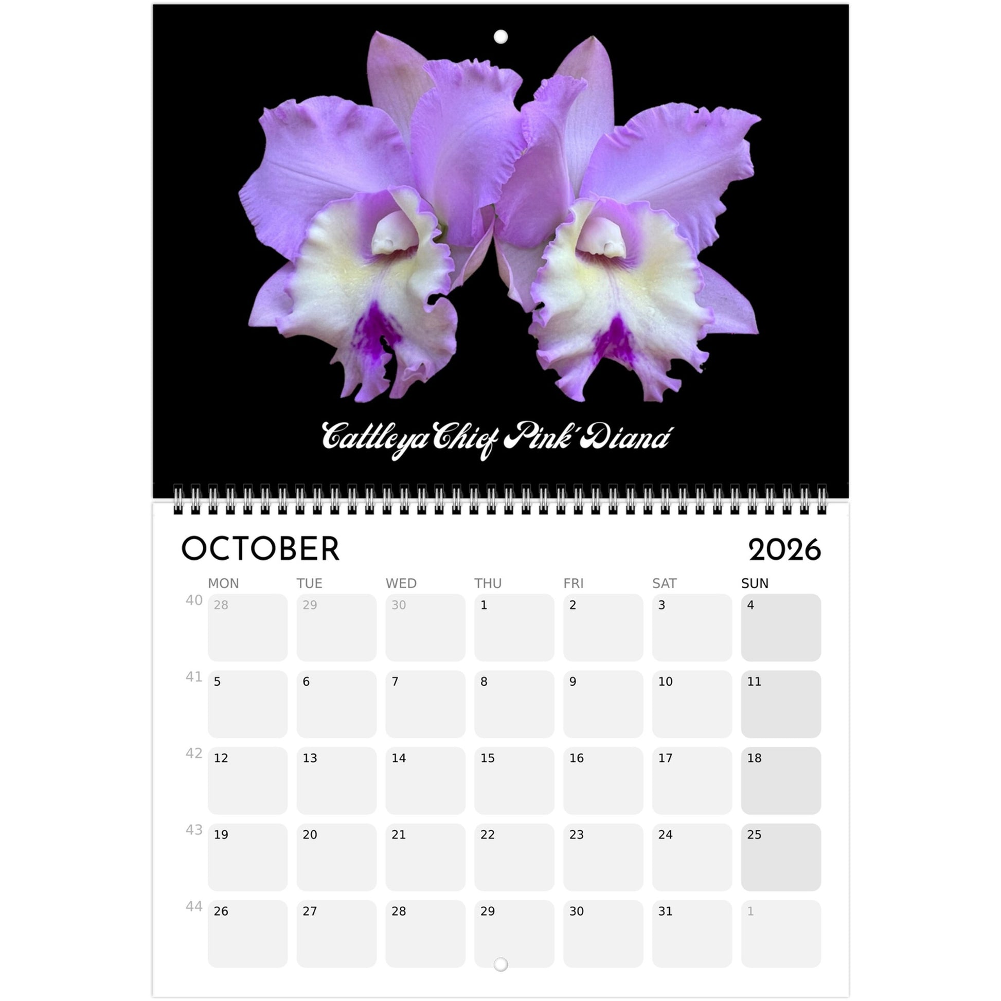 Loving Orchids  2026 Calendar