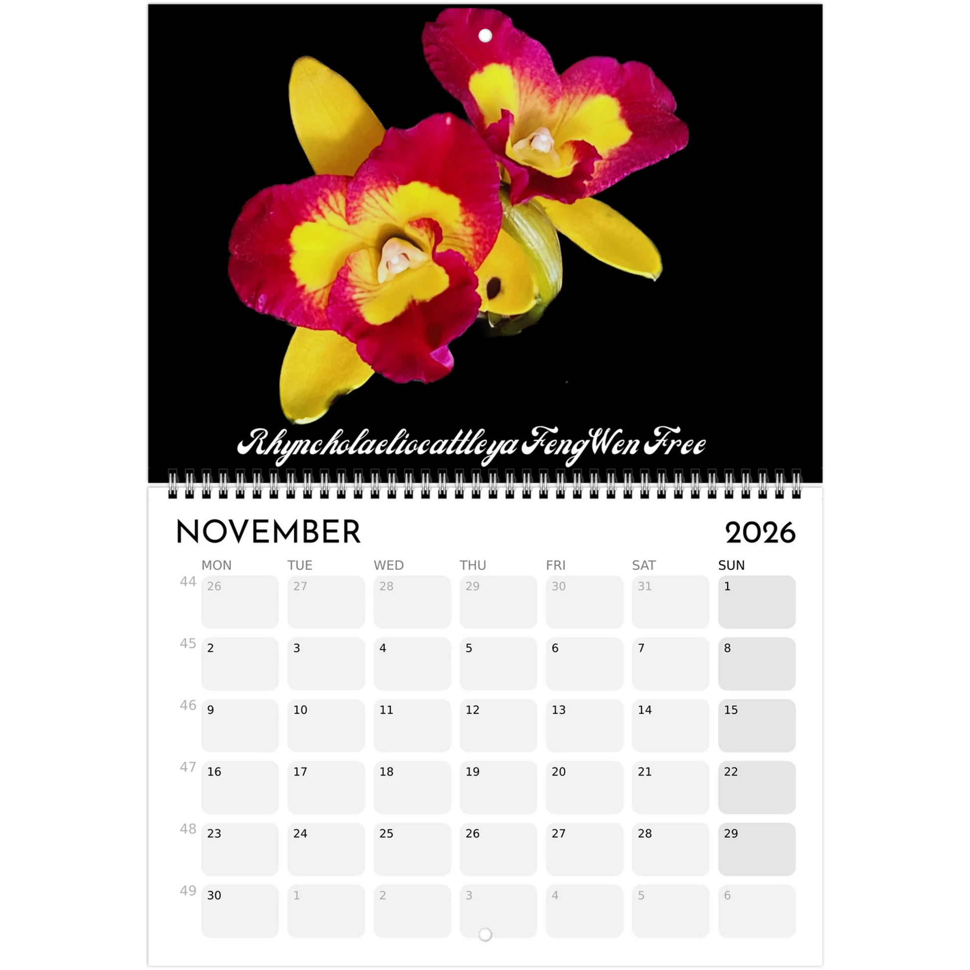 "Catts" In Black 2026 Calendar