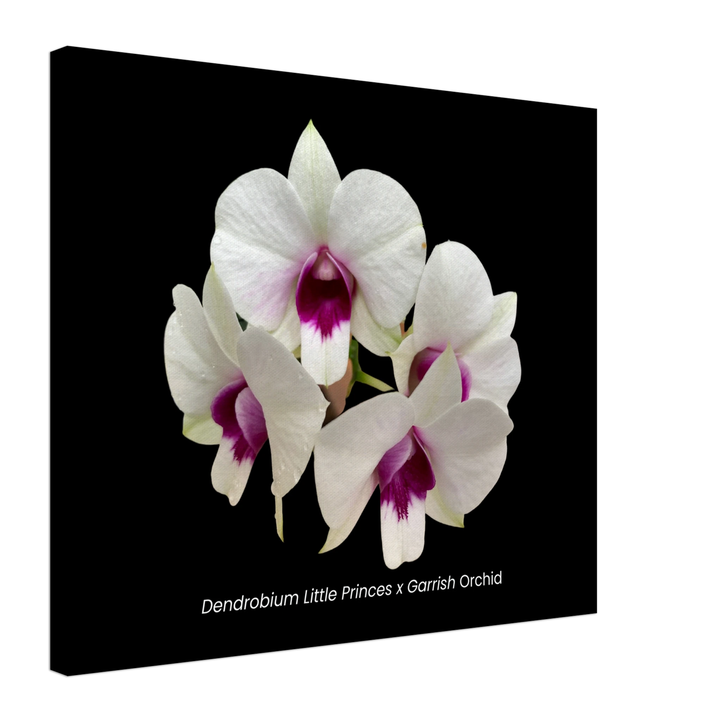 8062b42a-c97a-44a4-92d5-643b57636ba5