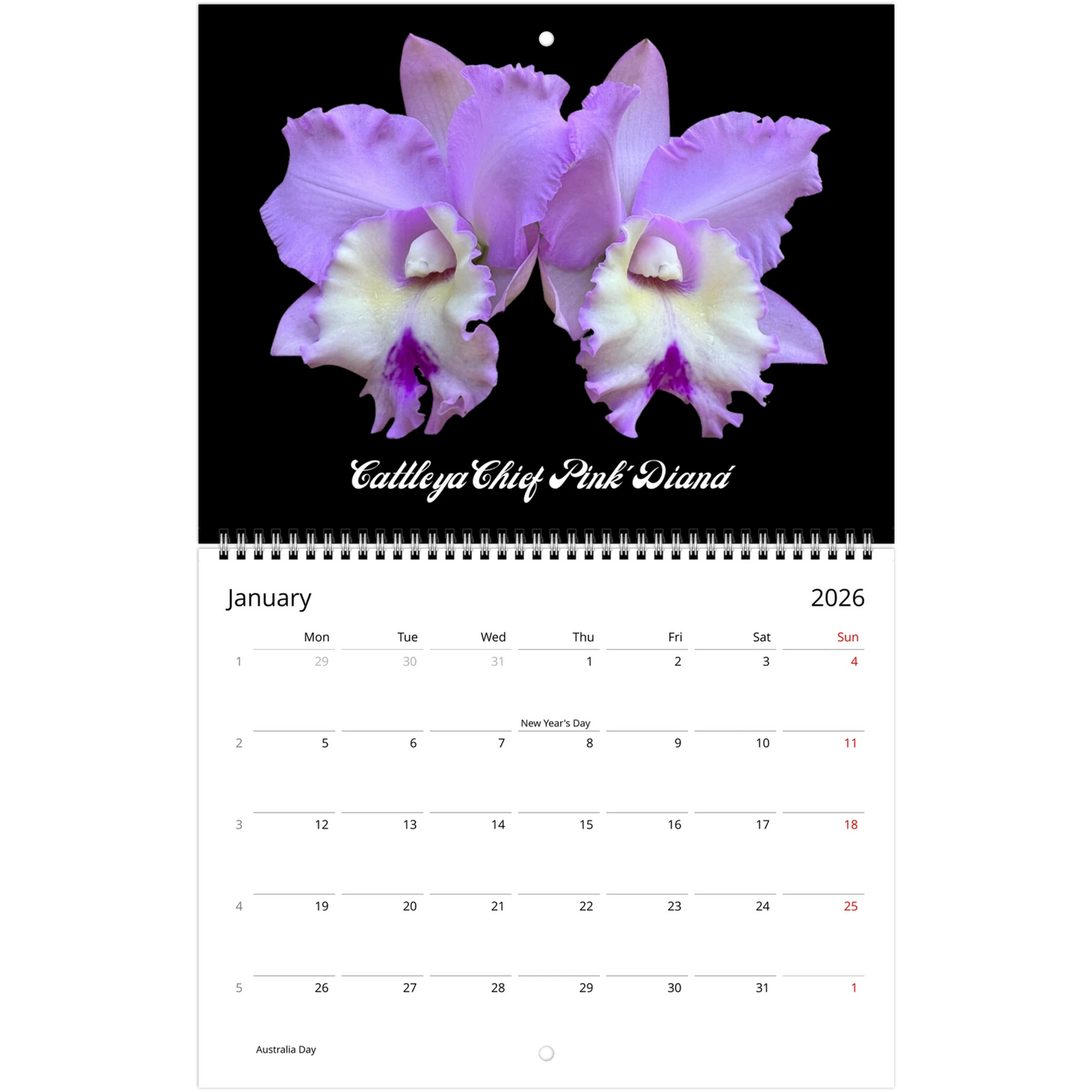 Catt's In Black Orchids 2026 Calendar (US & CA)