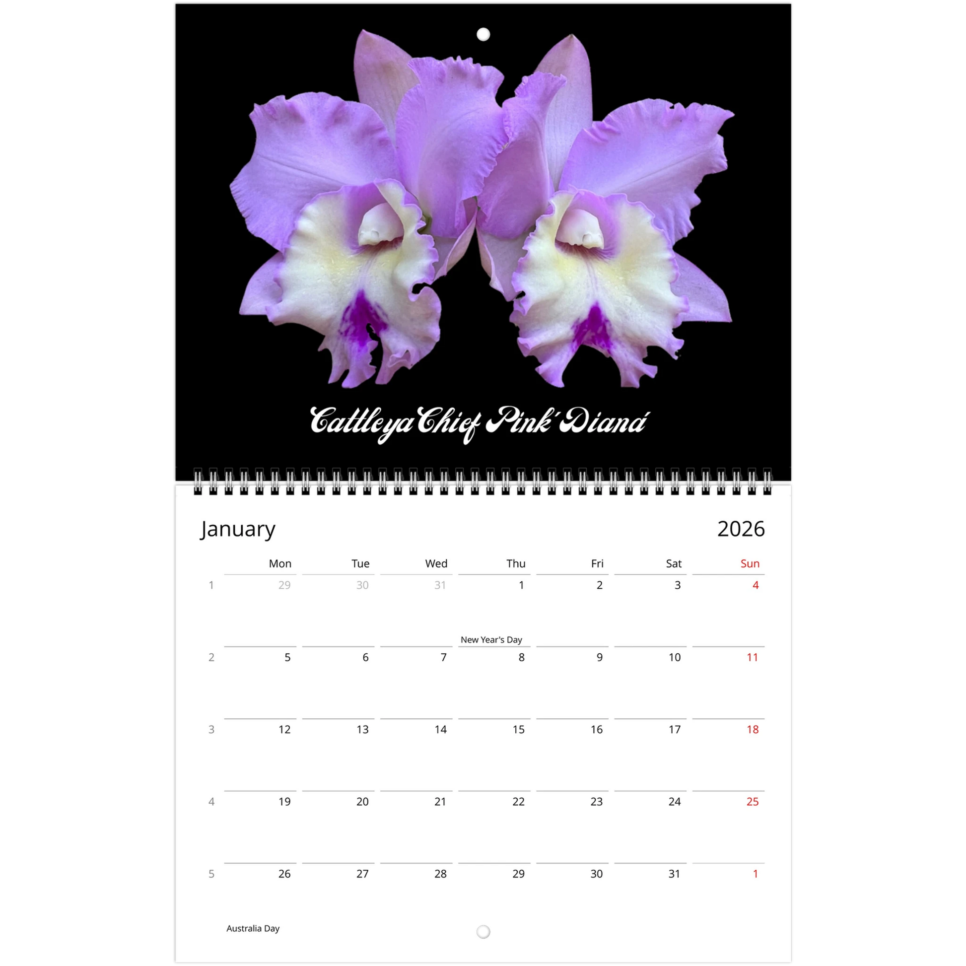 Catt's In Black Orchids 2026 Calendar (US & CA)