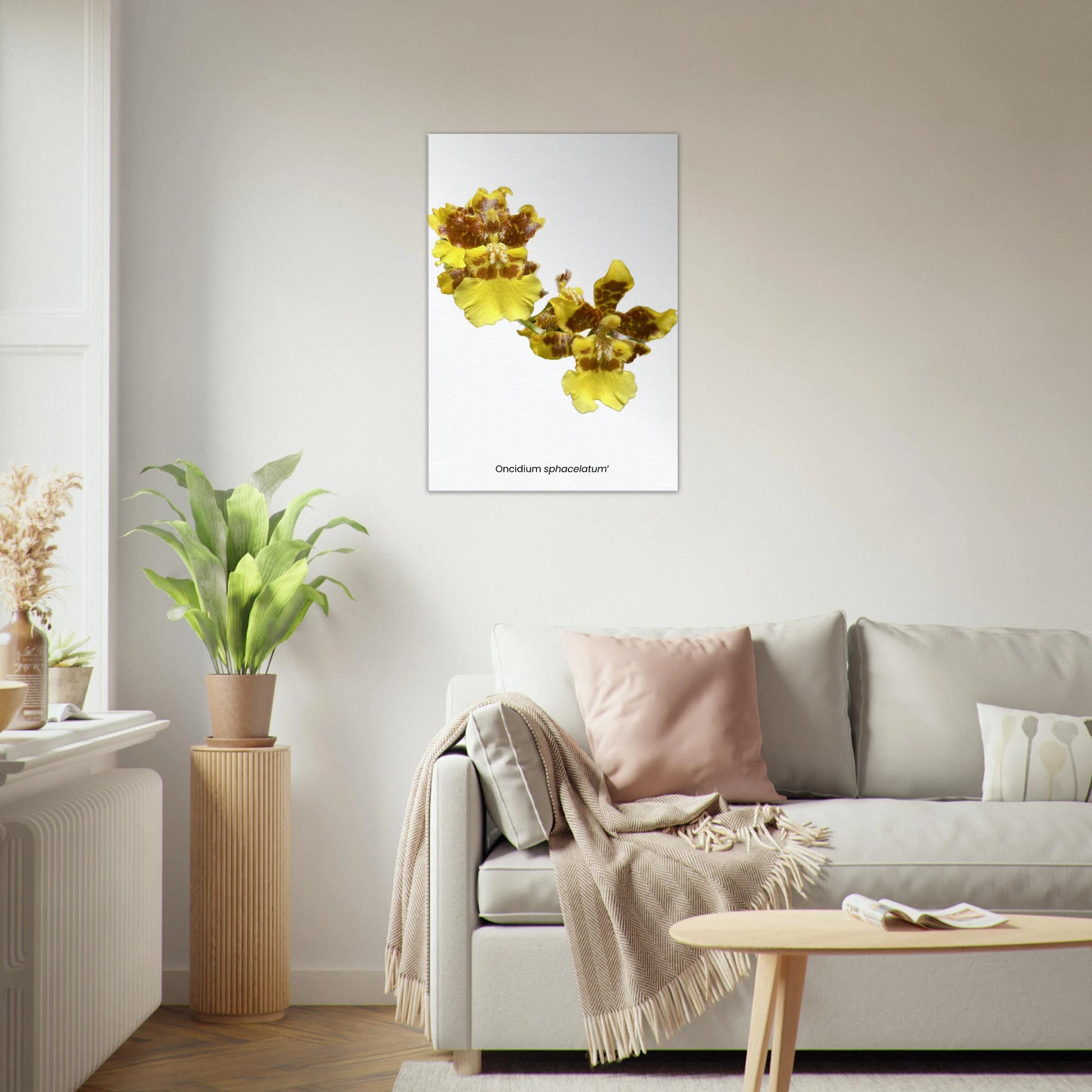 8e755c12-2ddc-4d65-b064-665617bdc078