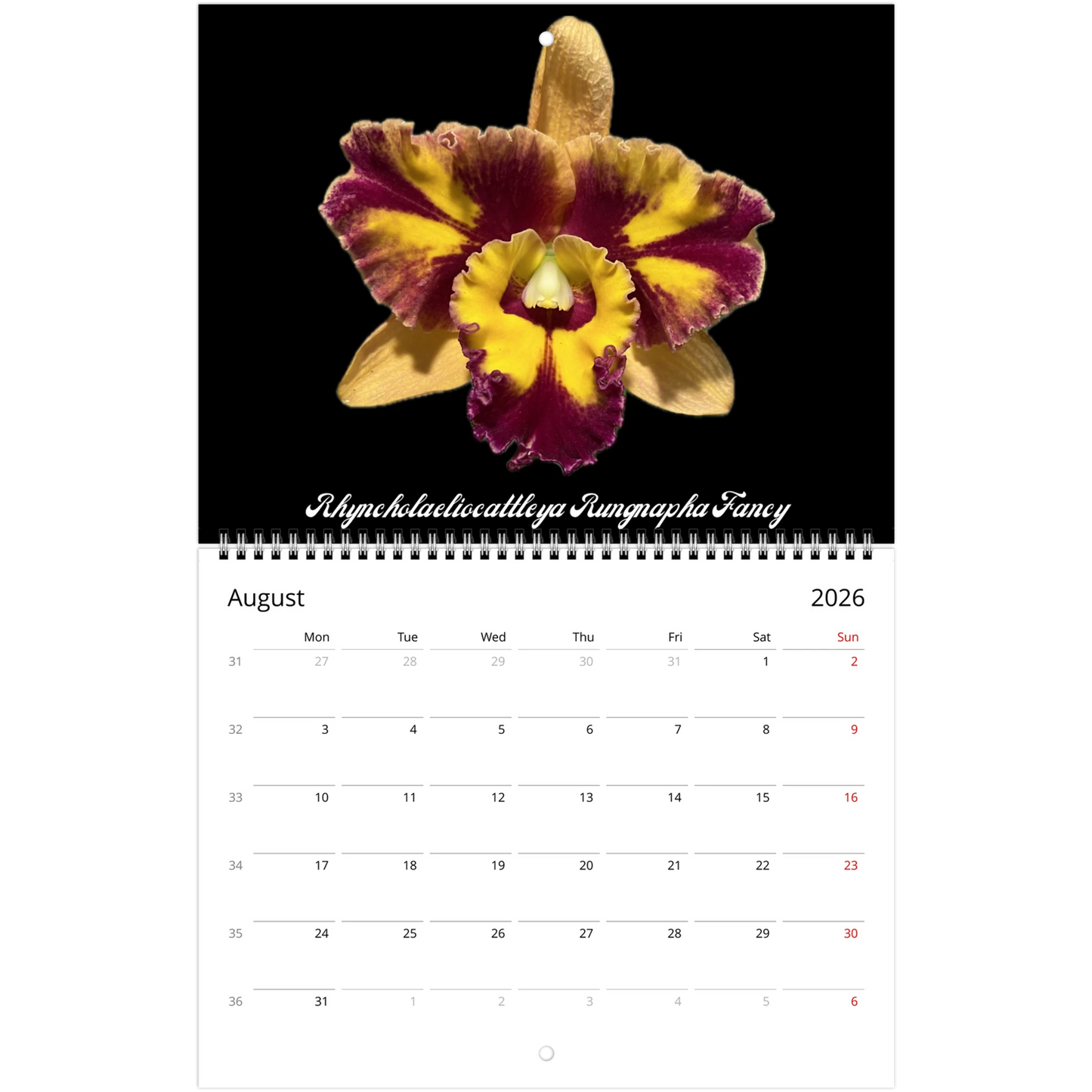 Catt's In Black Orchids 2026 Calendar (US & CA)