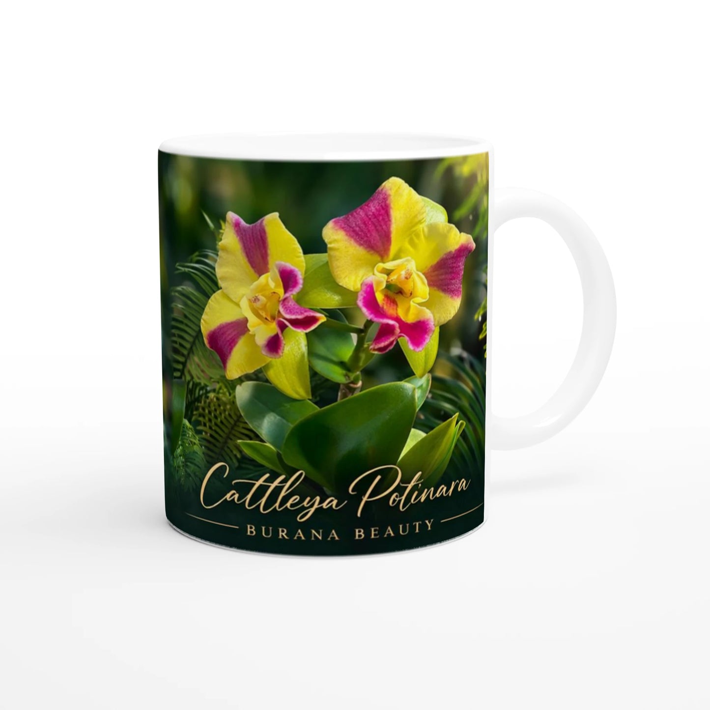 Cattleya Potinara Burana Beauty Orchid Coffee Mug