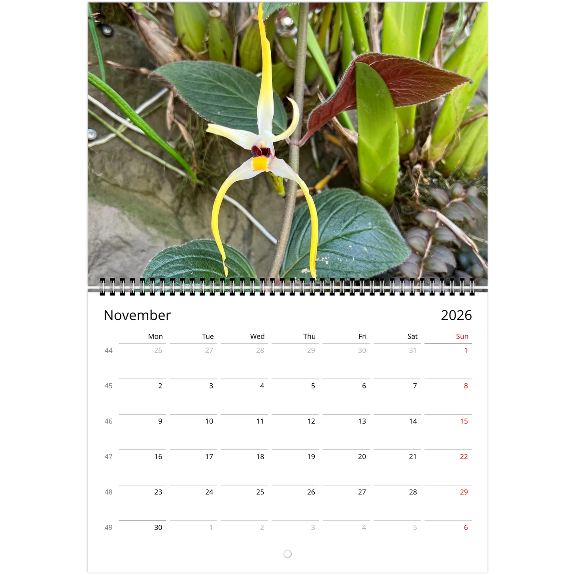 Singapore National Orchid Garden 2026 Calendar