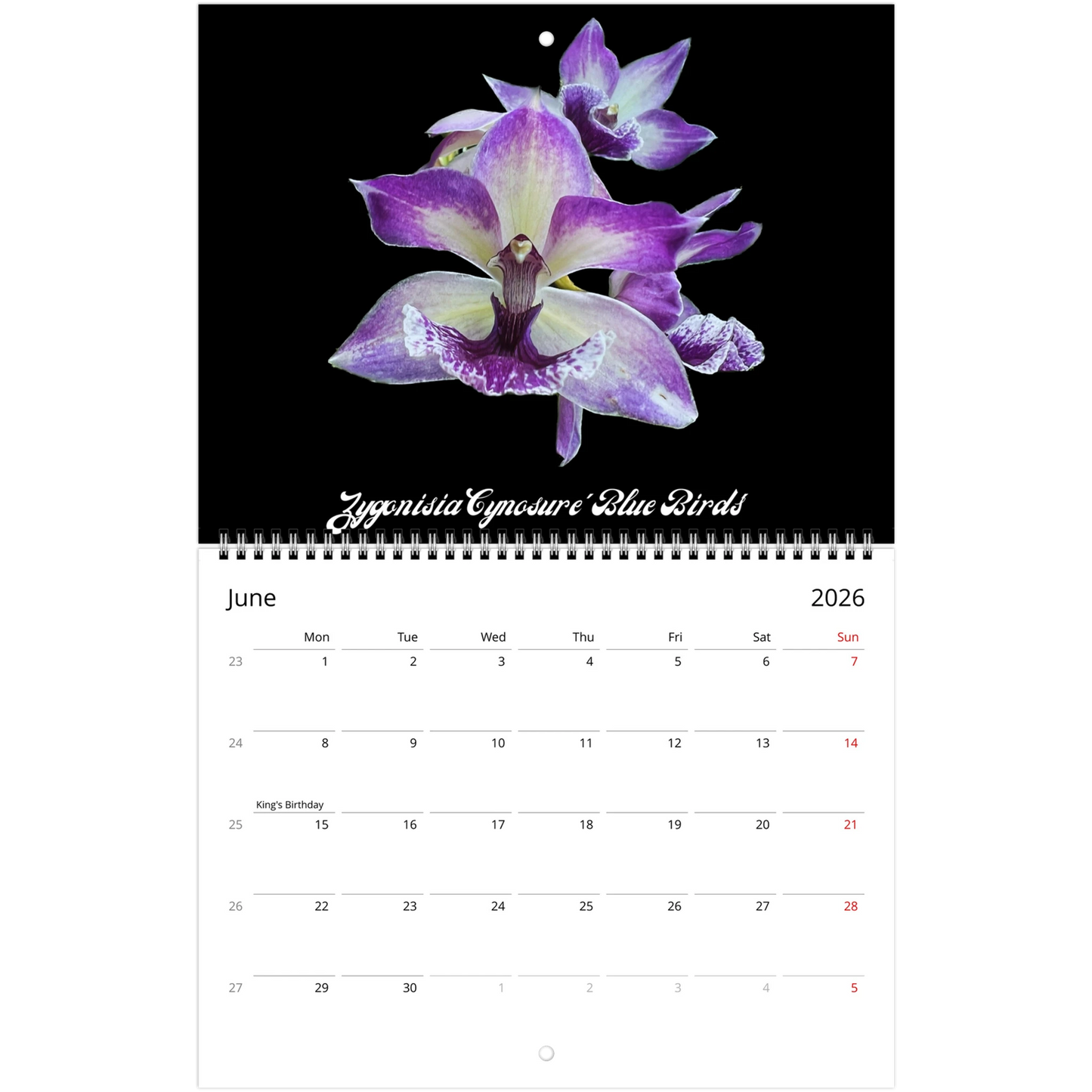Loving Orchids 2026 Calendar (US & CA)