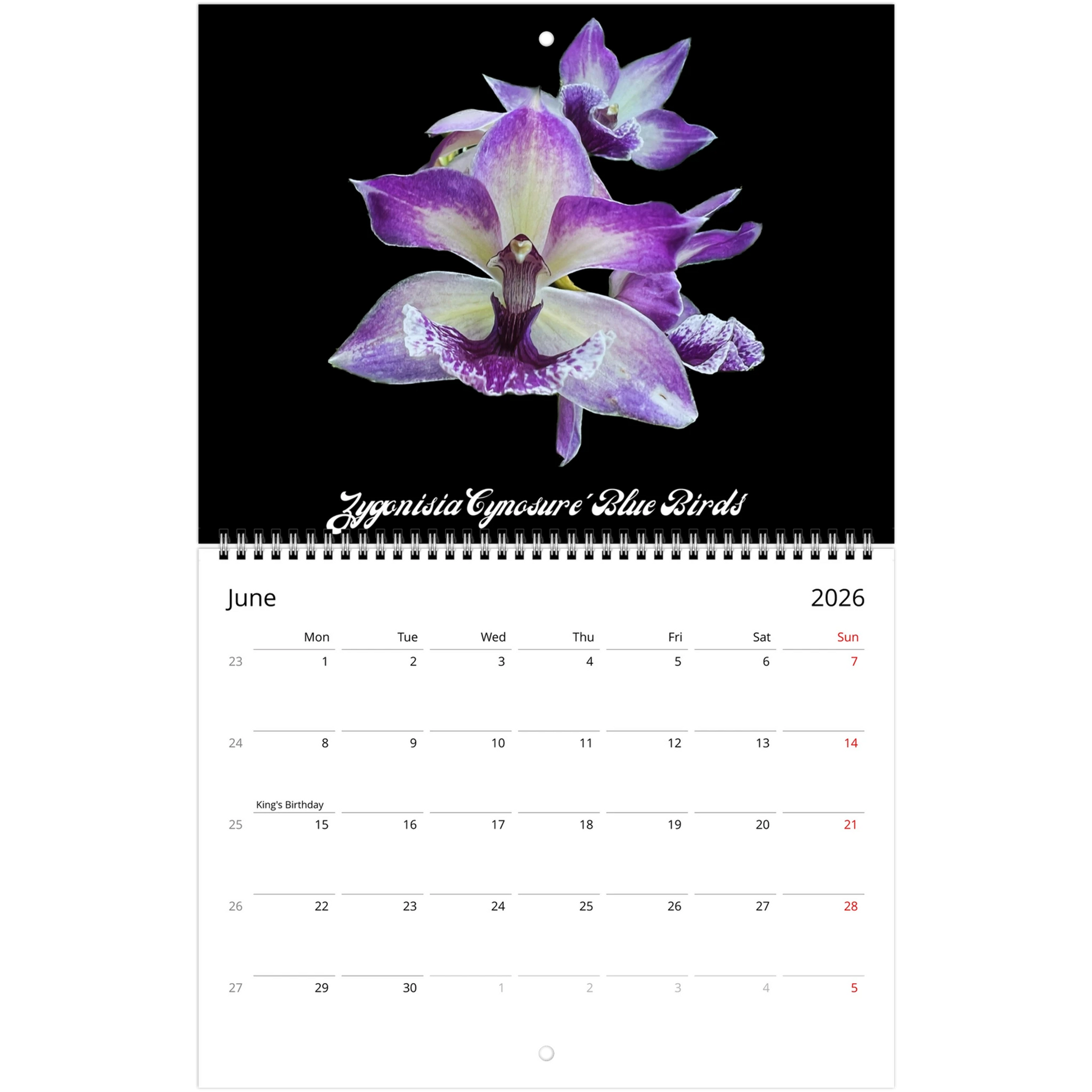 Loving Orchids 2026 Calendar (US & CA)
