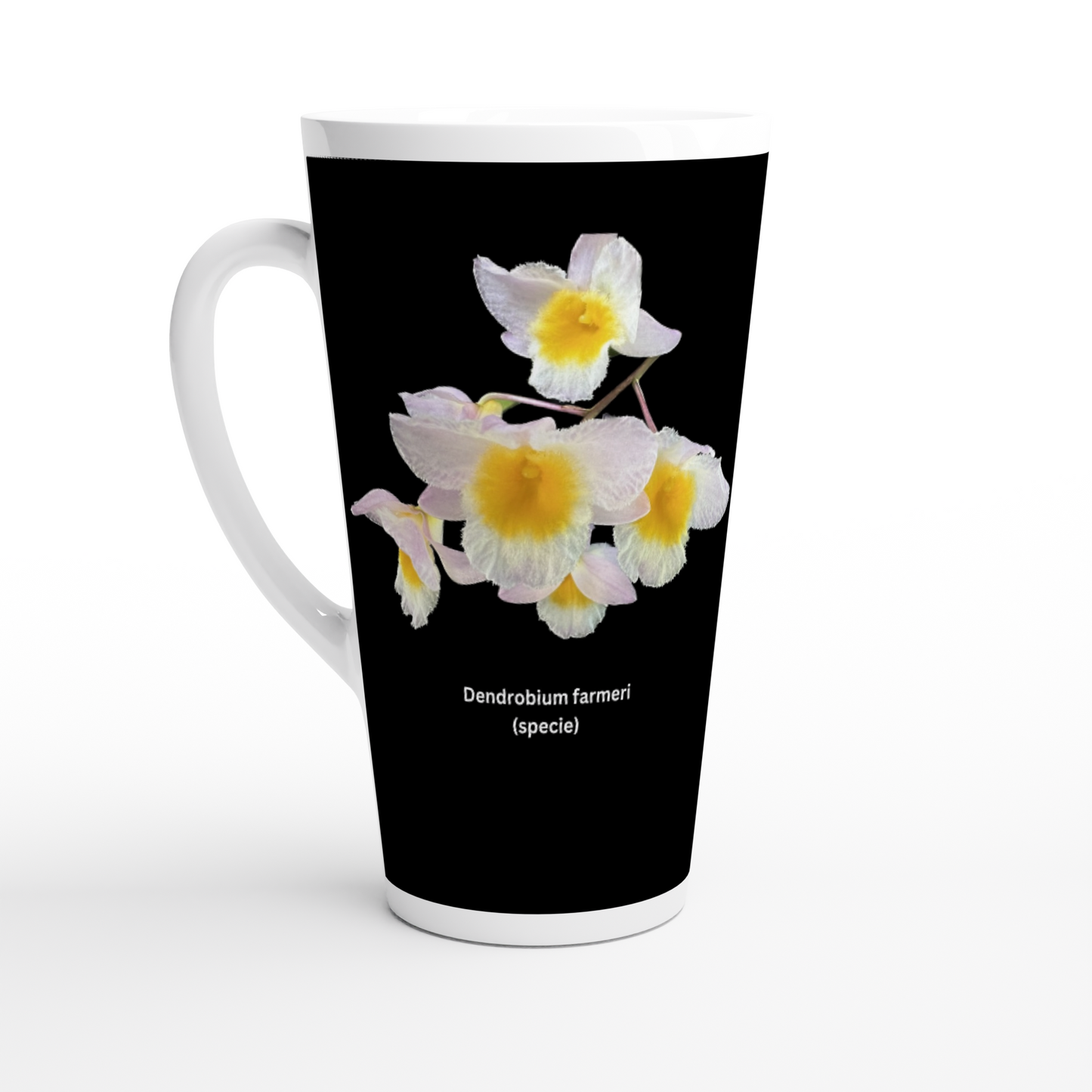 Dendrobium farmeri Orchid Latte Mug