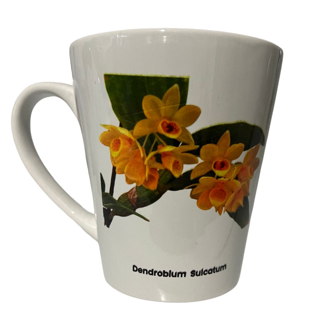 Dendrobium Sulcatum Orchid 20oz Latte Mug