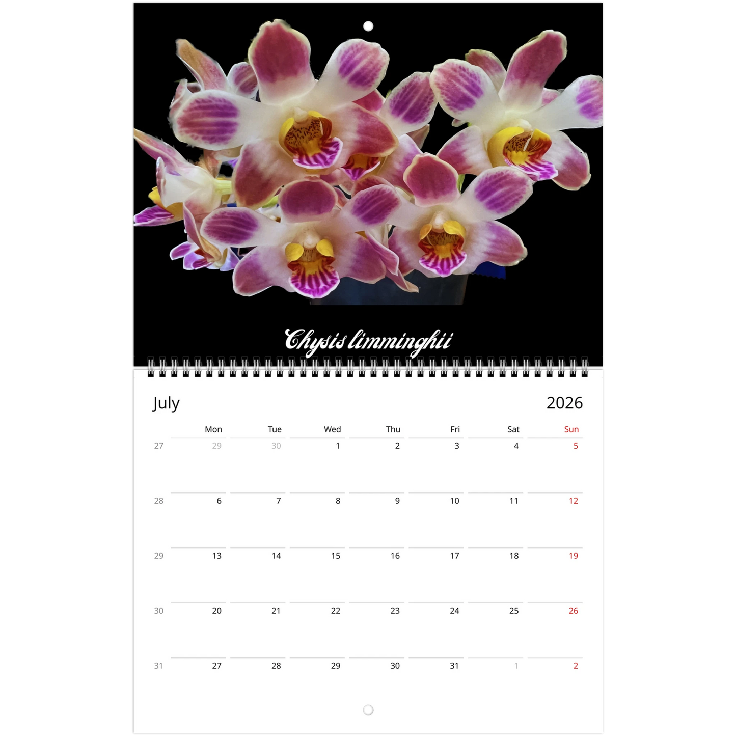 Loving Orchids 2026 Calendar (US & CA)
