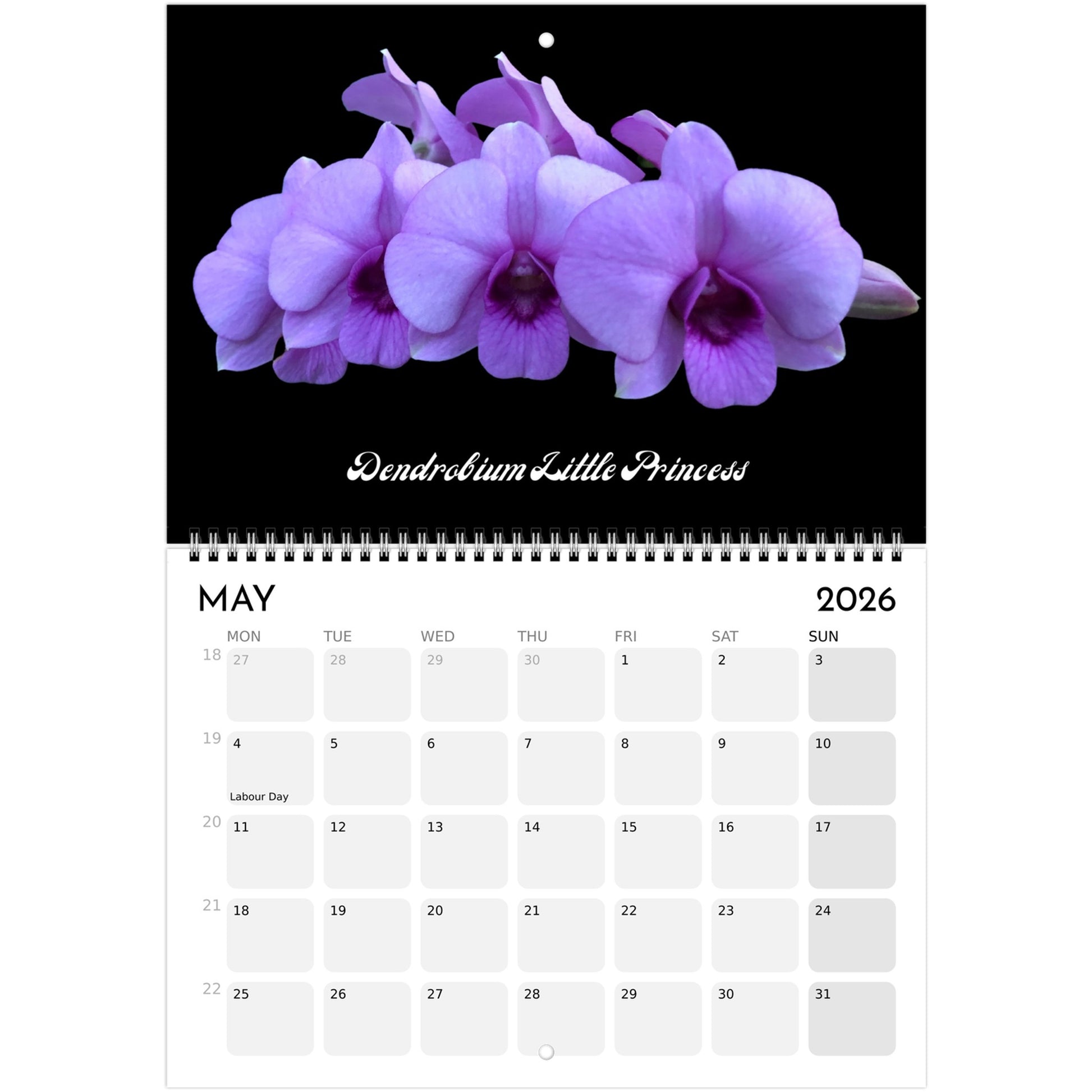 Loving Orchids  2026 Calendar