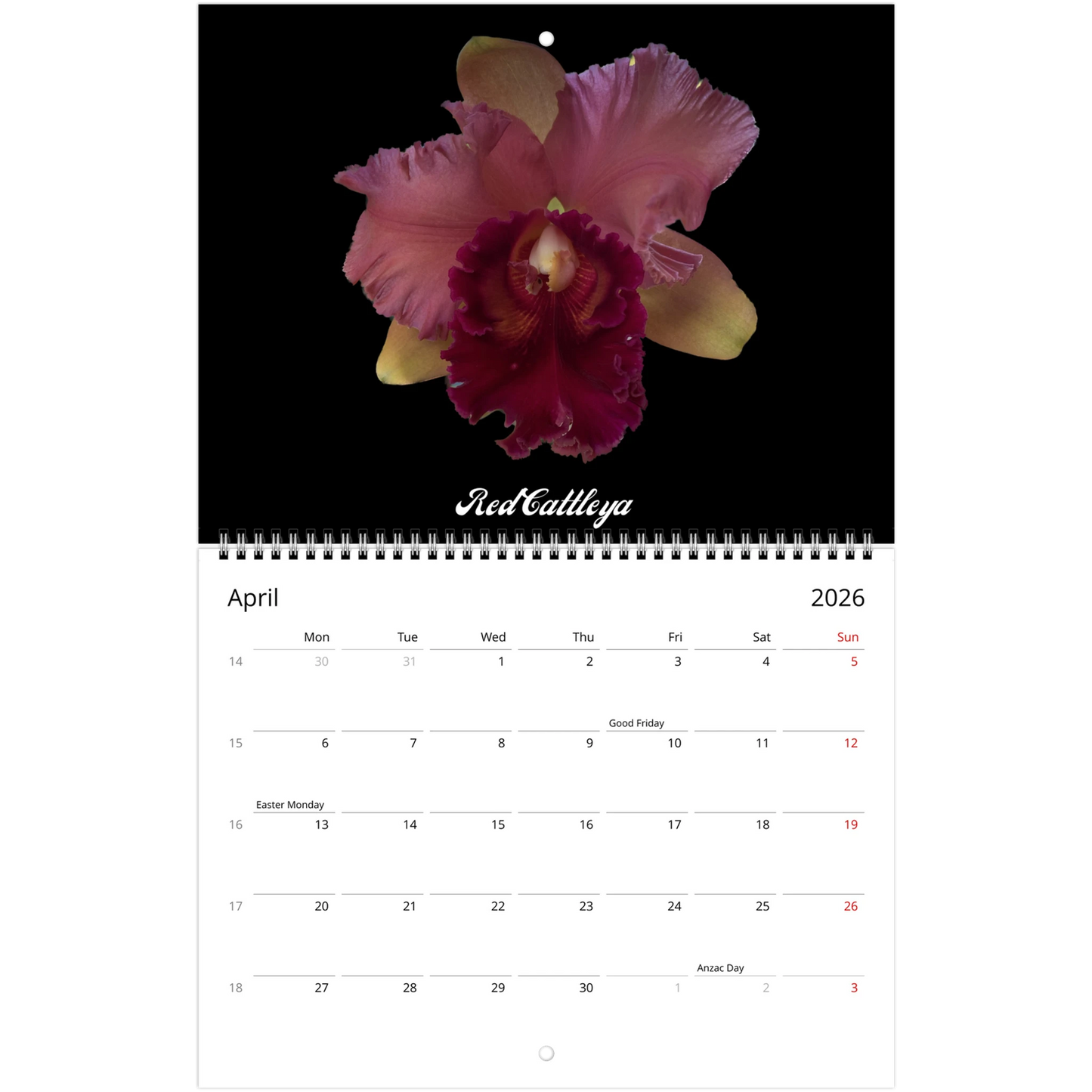 Catt's In Black Orchids 2026 Calendar (US & CA)