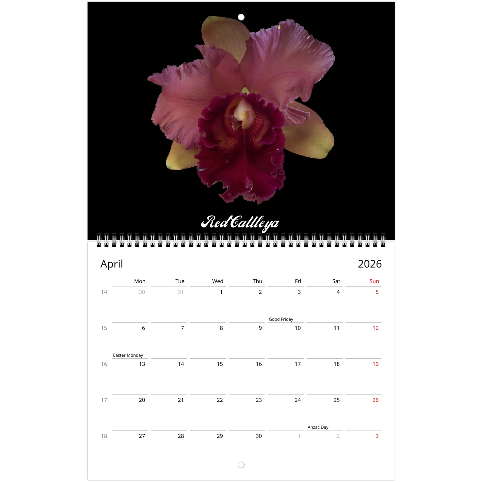 Catt's In Black Orchids 2026 Calendar (US & CA)