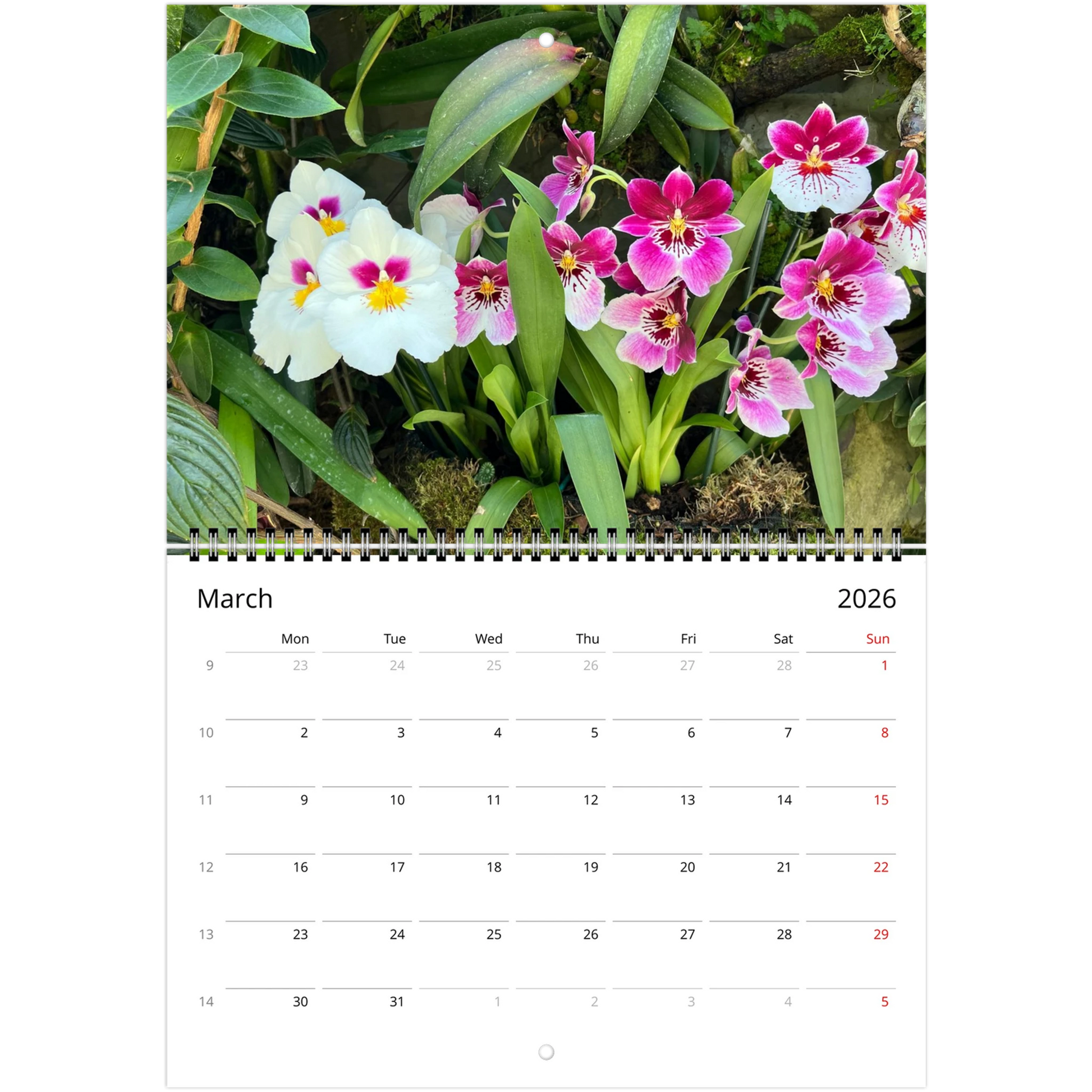 Singapore National Orchid Garden 2026 Calendar