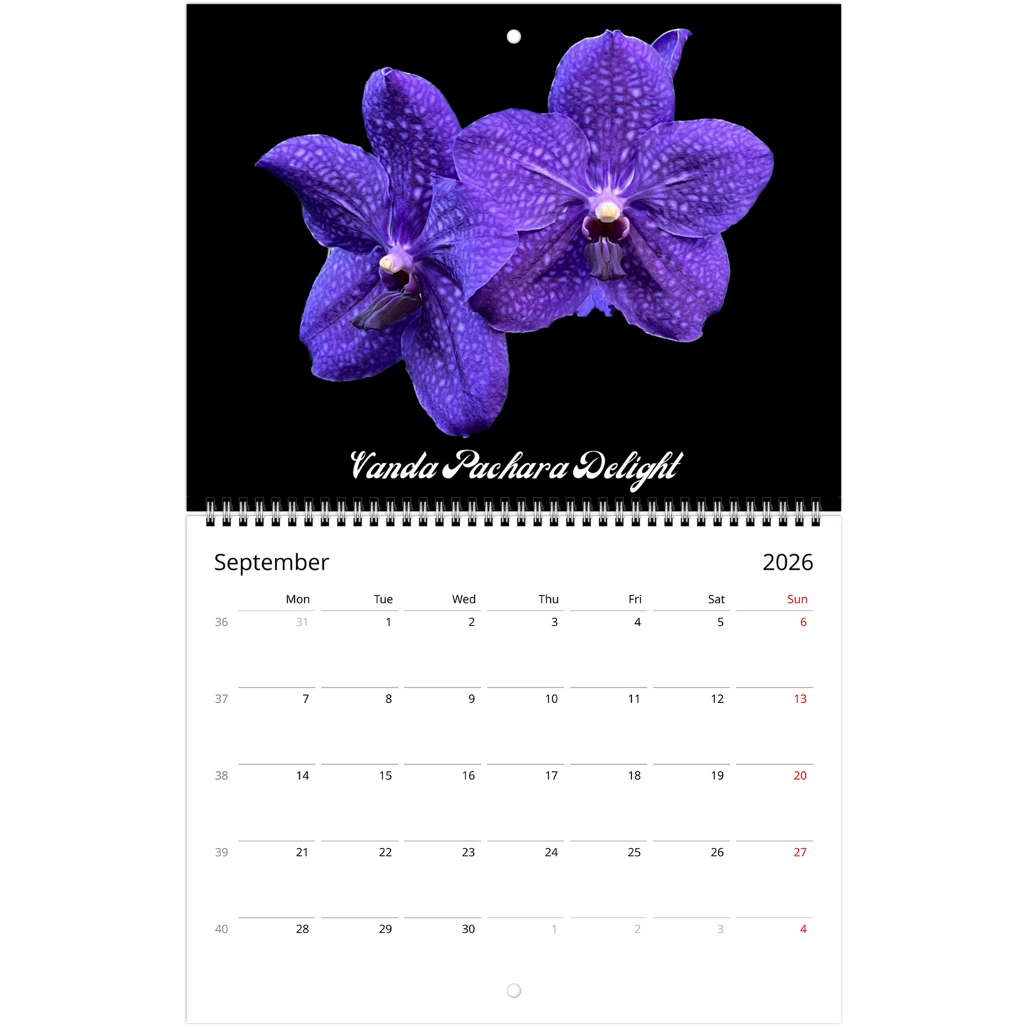 Loving Orchids 2026 Calendar (US & CA)