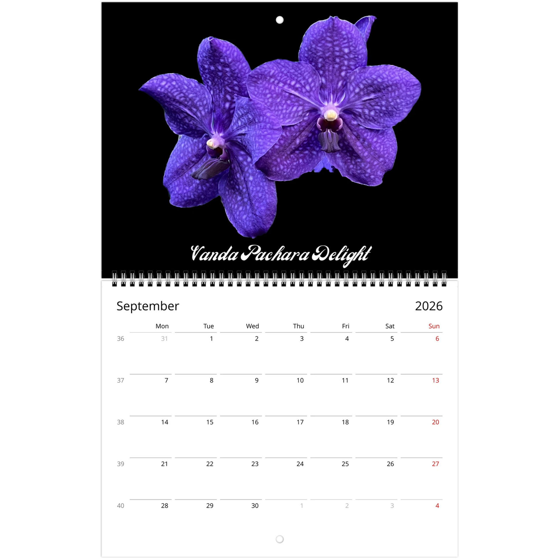 Loving Orchids 2026 Calendar (US & CA)