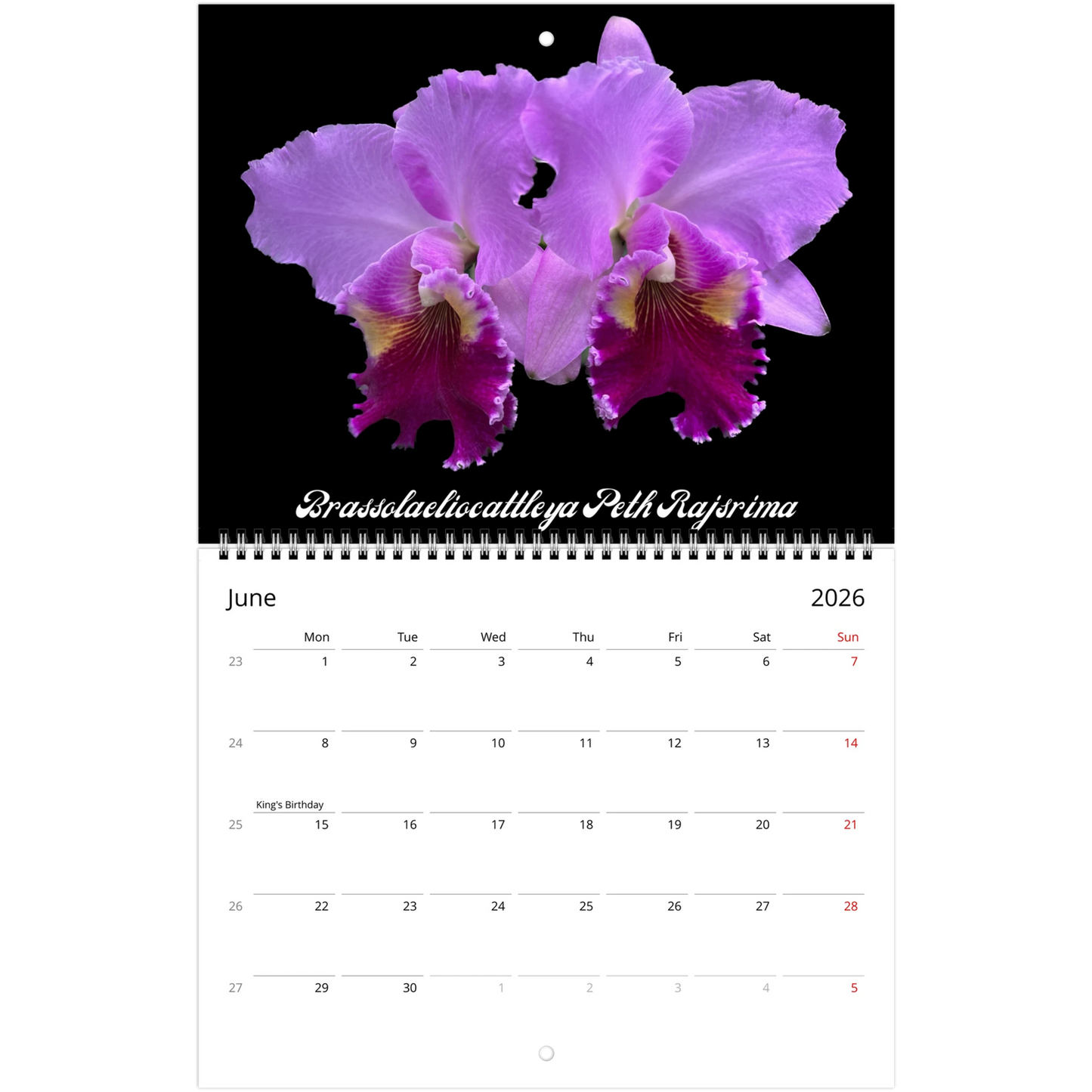 Catt's In Black Orchids 2026 Calendar (US & CA)