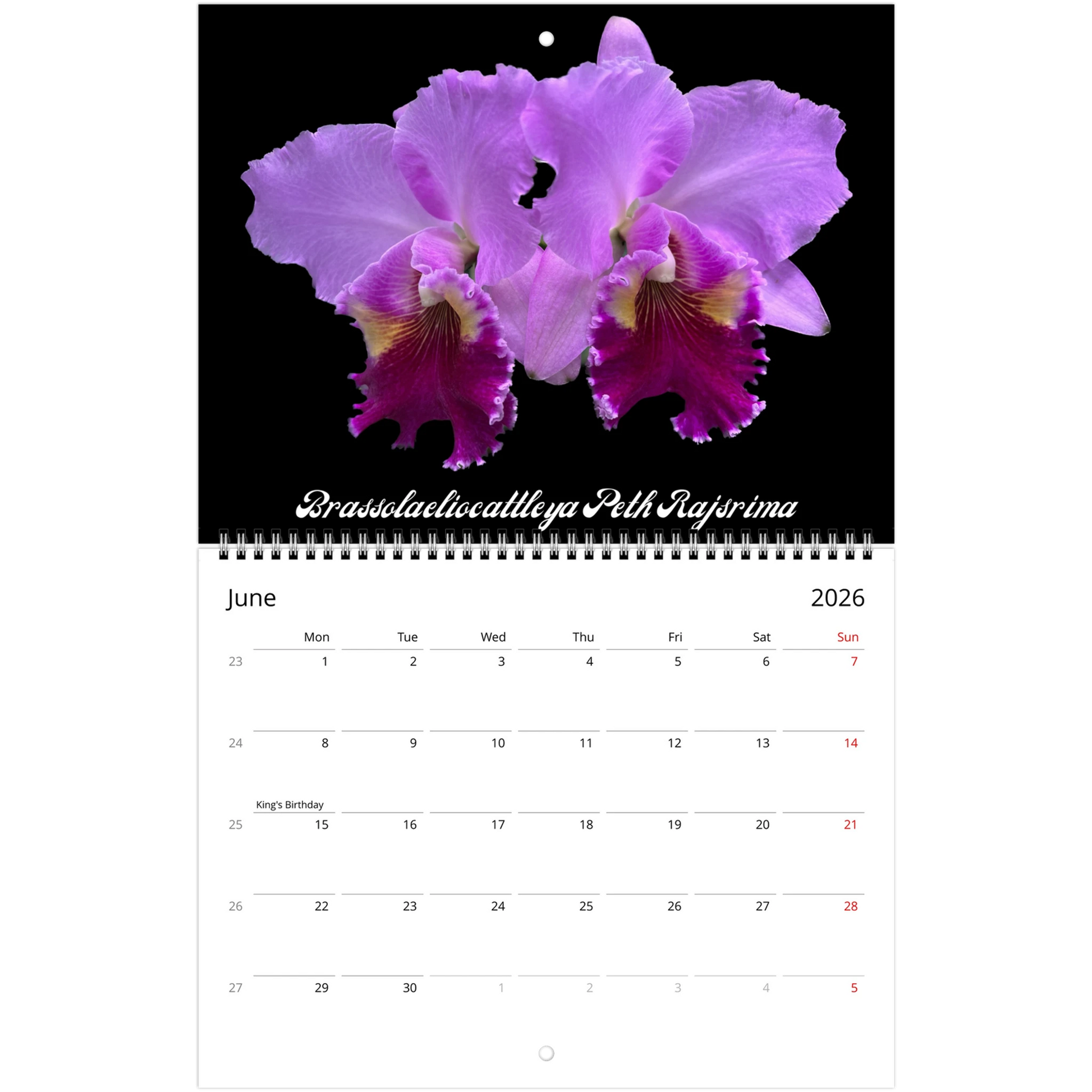 Catt's In Black Orchids 2026 Calendar (US & CA)