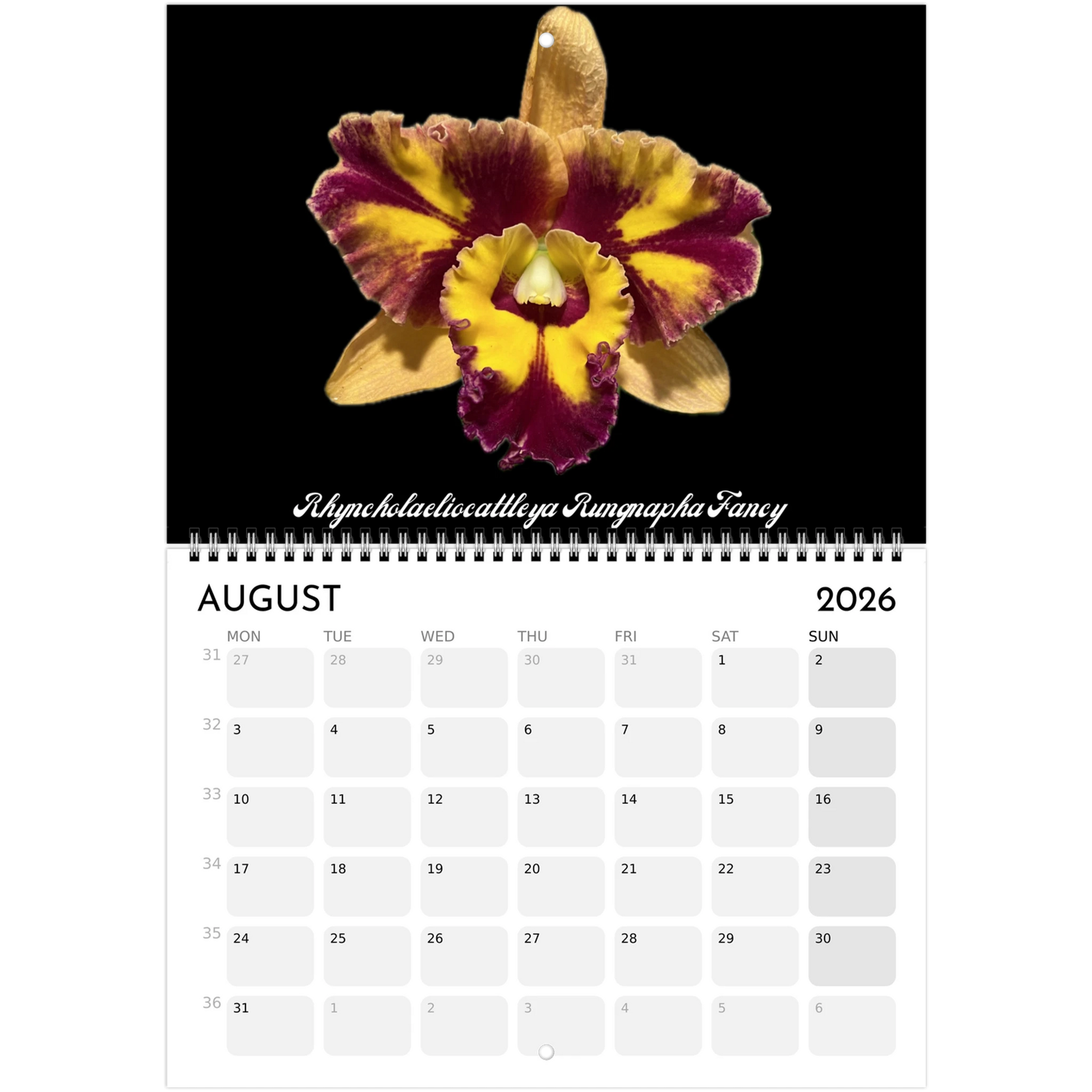 "Catts" In Black 2026 Calendar