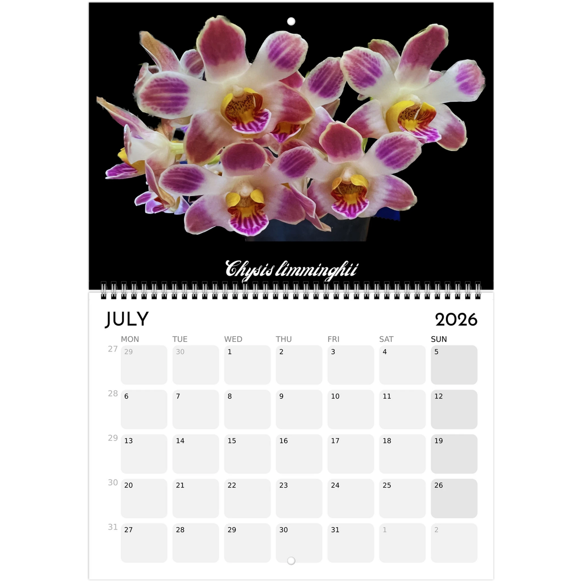 Species Orchids  2026 Calendar