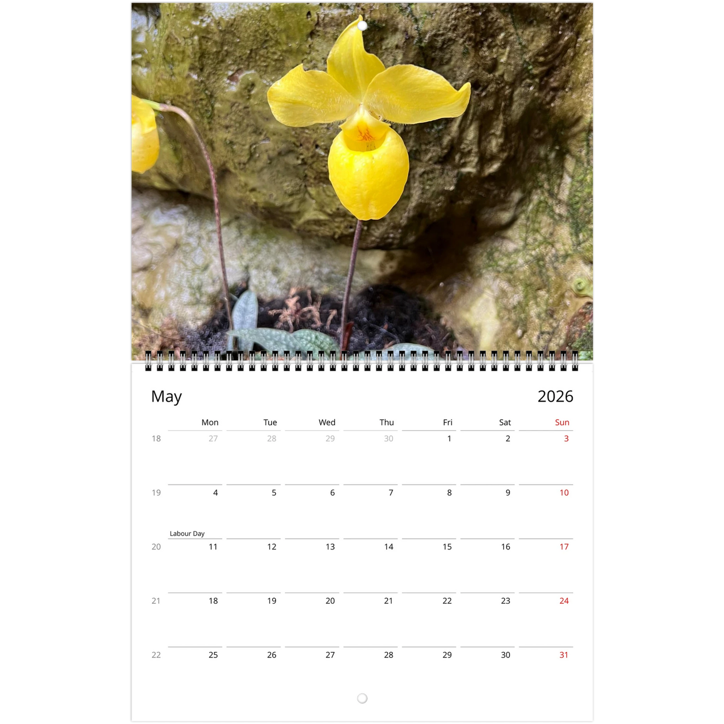 Singapore Nation Orchid Garden 2026 Calendar  (US & CA)
