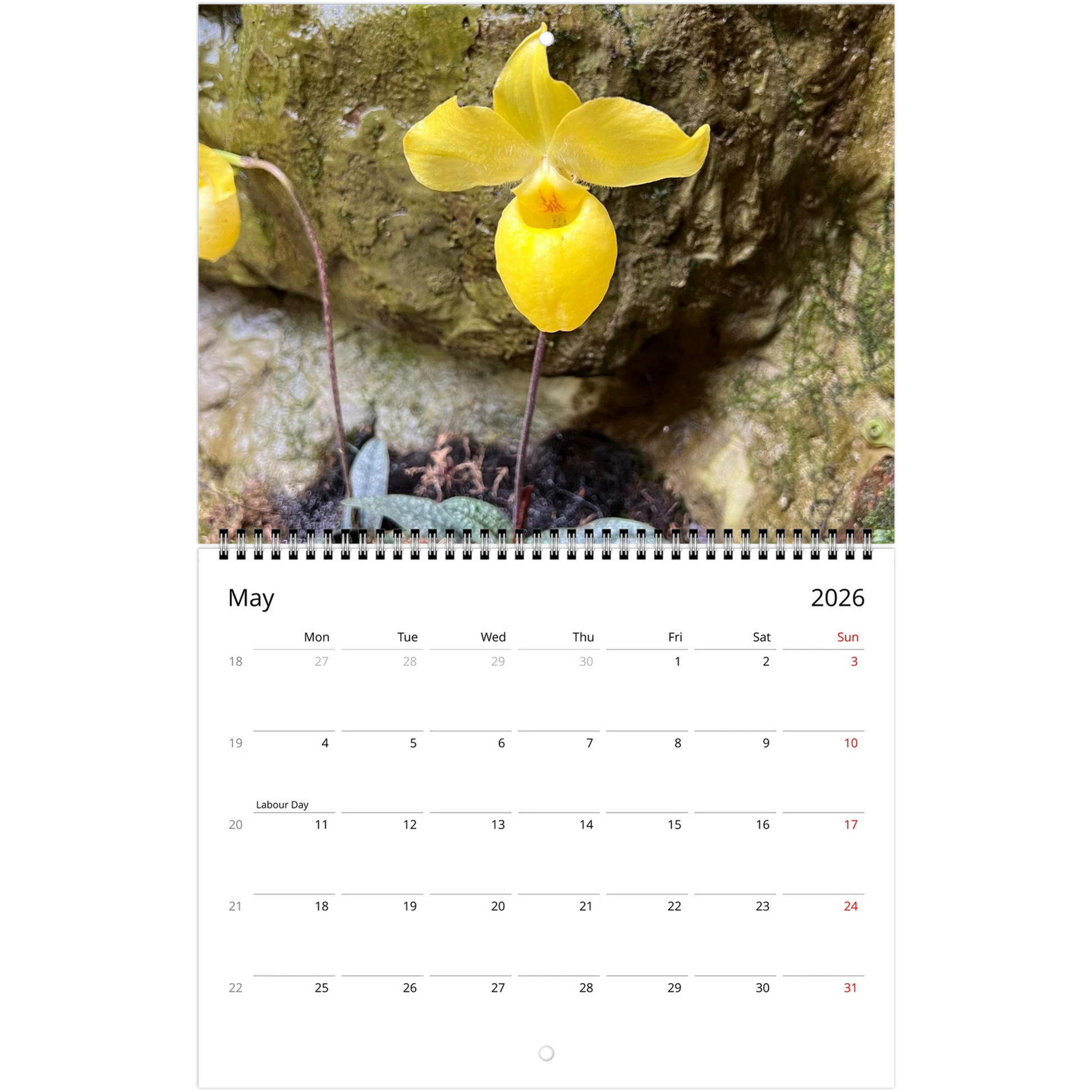 Singapore Nation Orchid Garden 2026 Calendar  (US & CA)