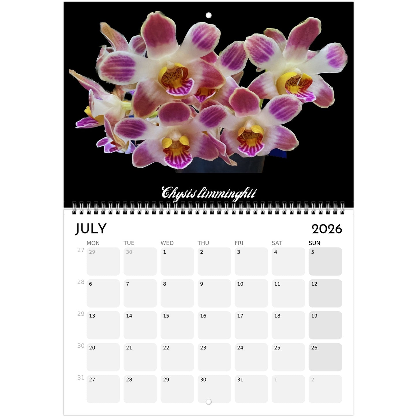 Loving Orchids  2026 Calendar