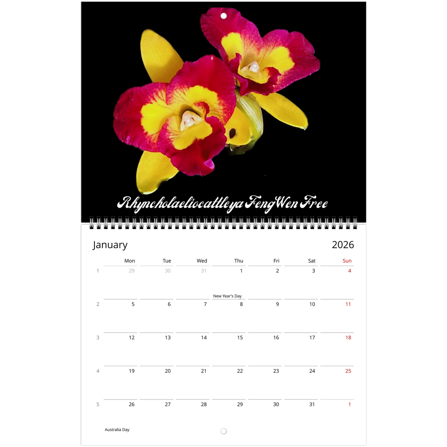 Loving Orchids 2026 Calendar (US & CA)