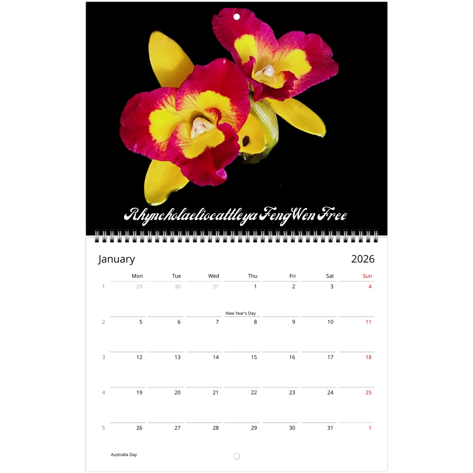 Loving Orchids 2026 Calendar (US & CA)